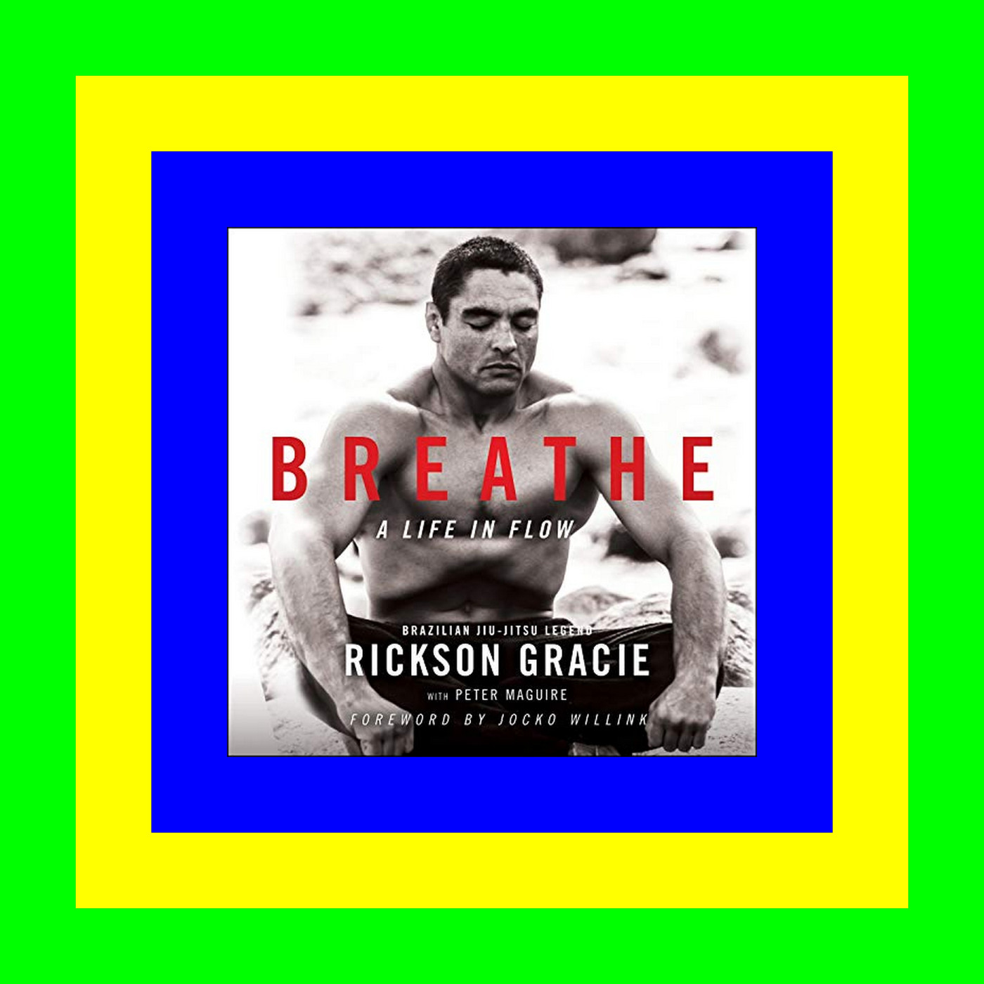(Epub Download) Breathe A Life in Flow [PDF] Download