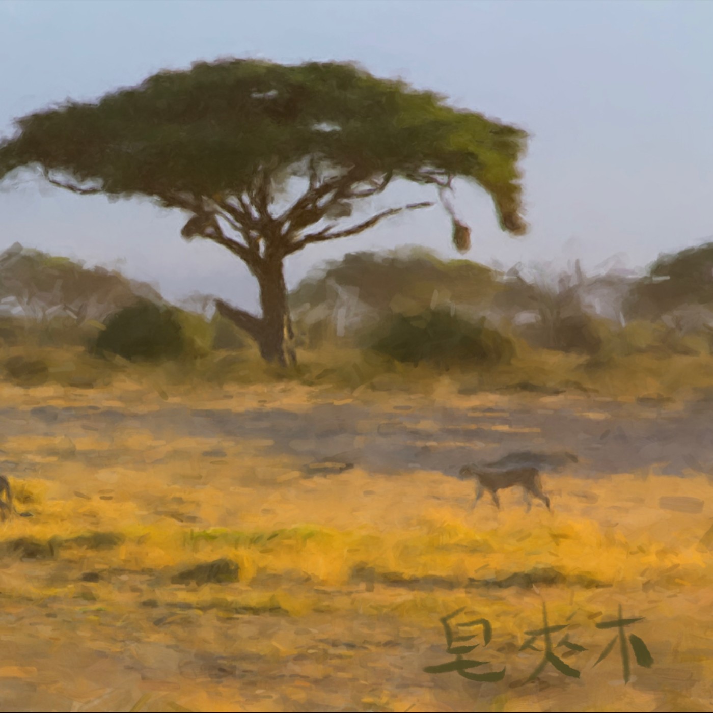 皂莢木 episode artwork