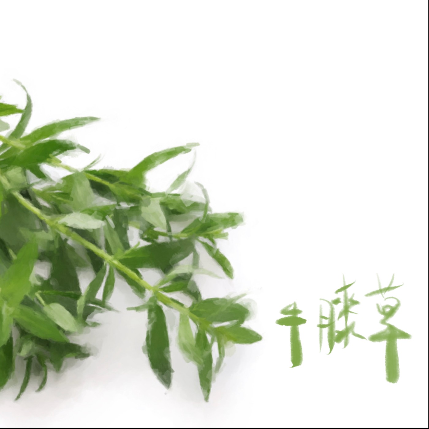 牛膝草 episode artwork