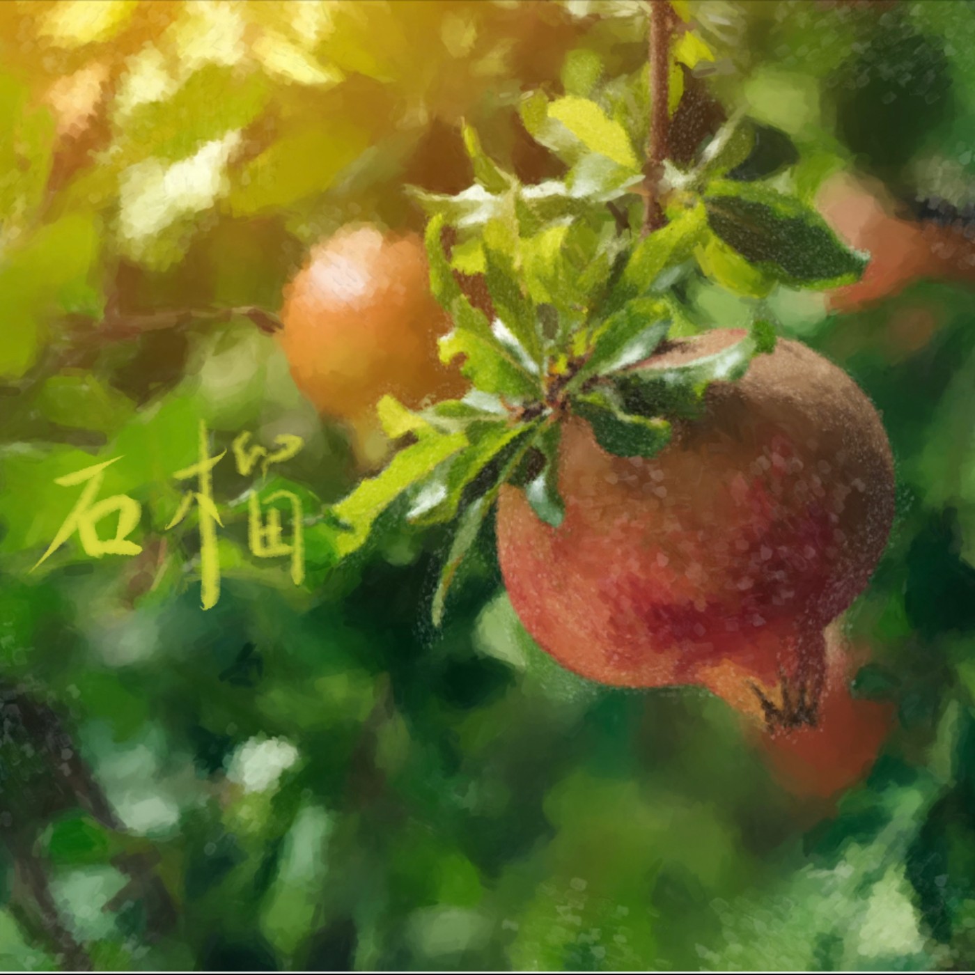 石榴 episode artwork
