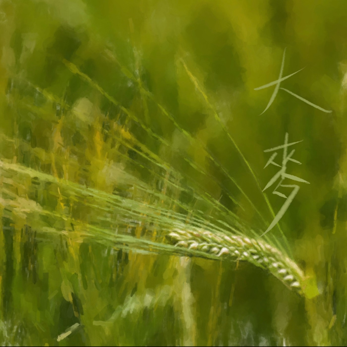 大麥 episode artwork