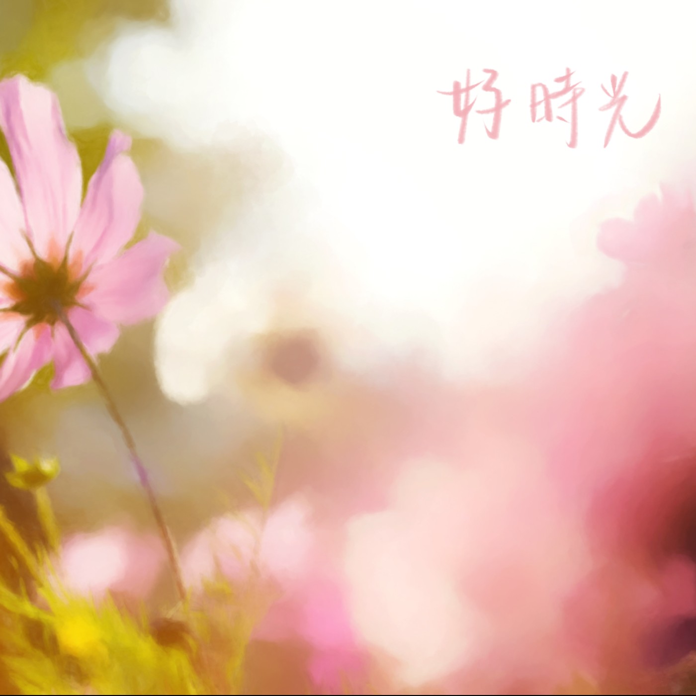 好時光 episode artwork