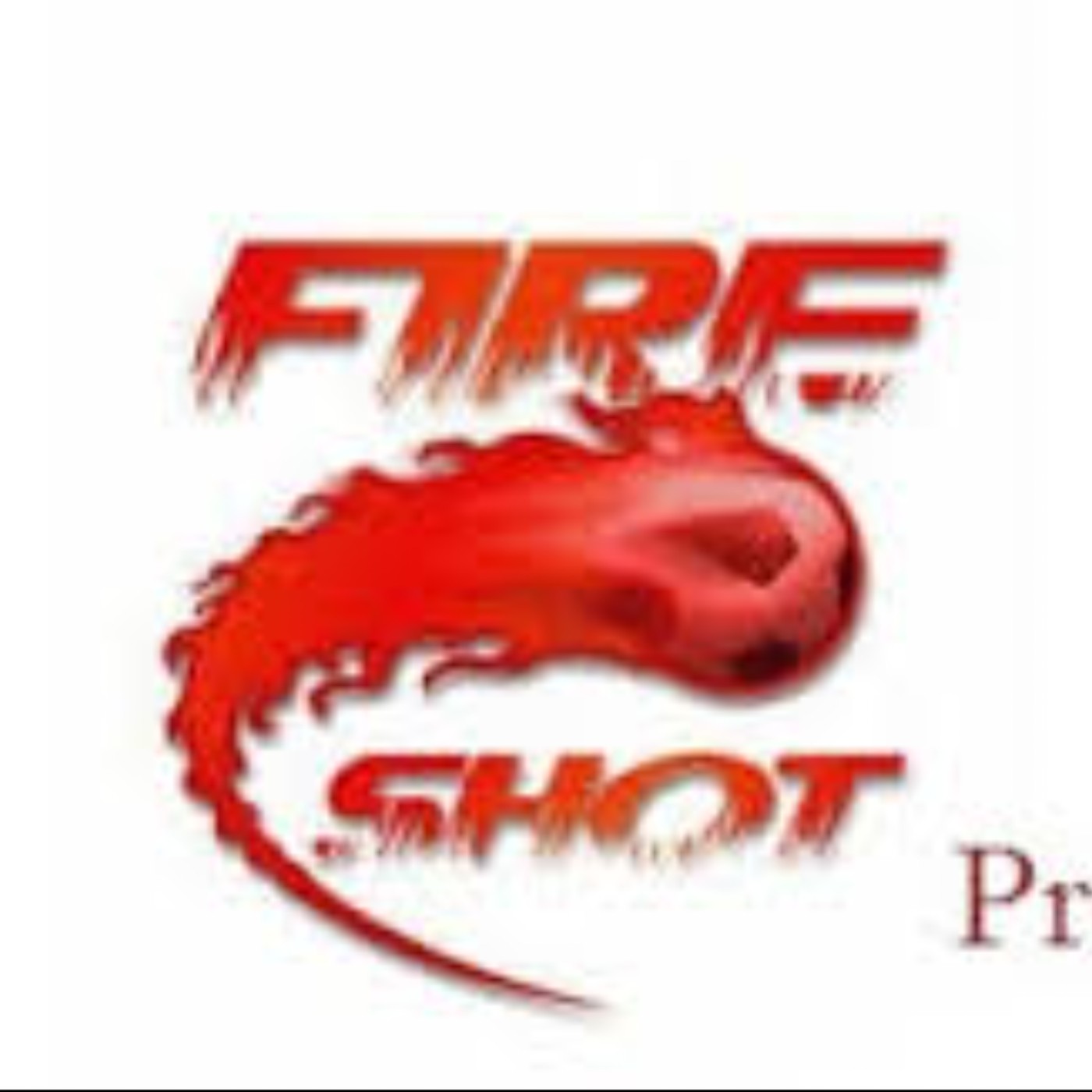 Using FireShot Pro