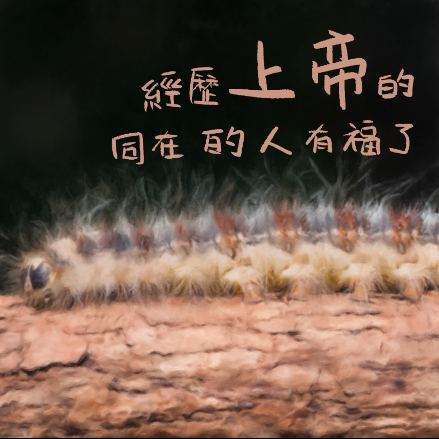 經歷上帝的同在的人有福了 episode artwork