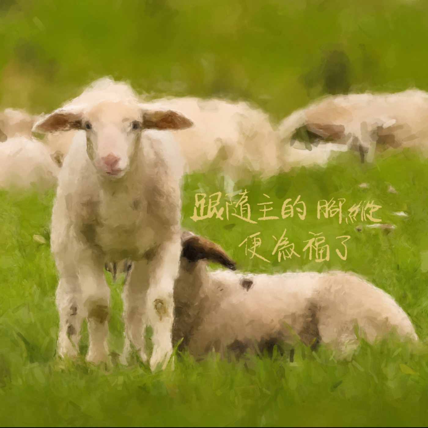 跟隨主的腳蹤便為福了 episode artwork