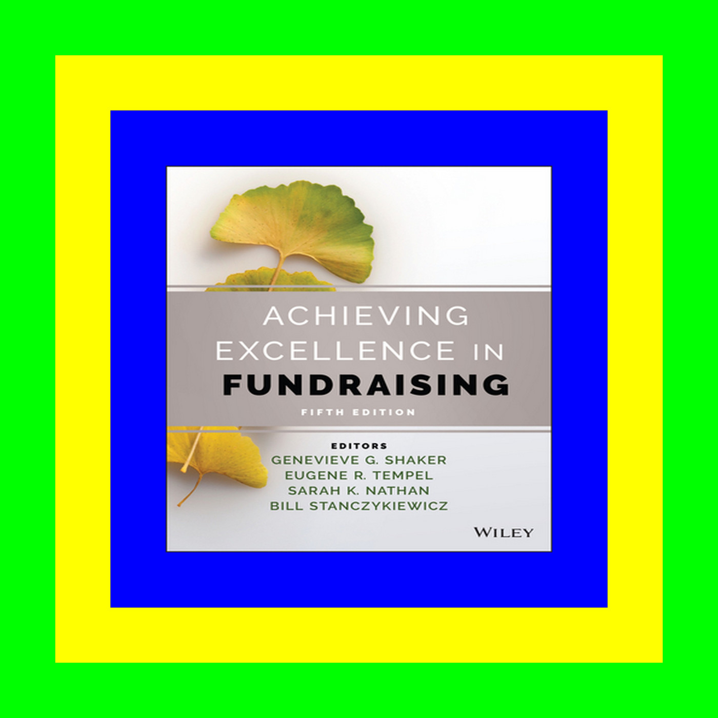 pdf free Achieving Excellence in Fundraising Read book $ePub