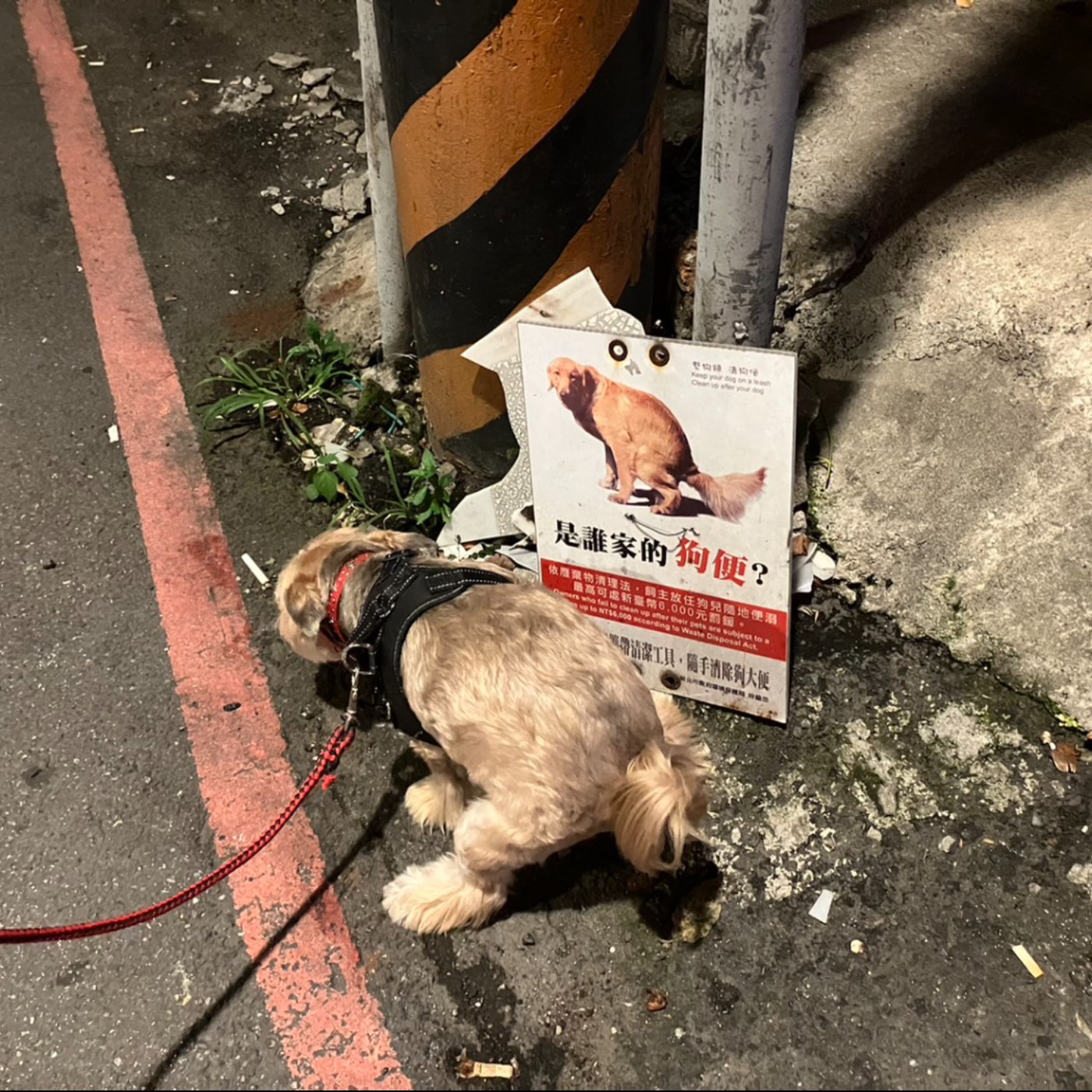 你是欠摔嗎？