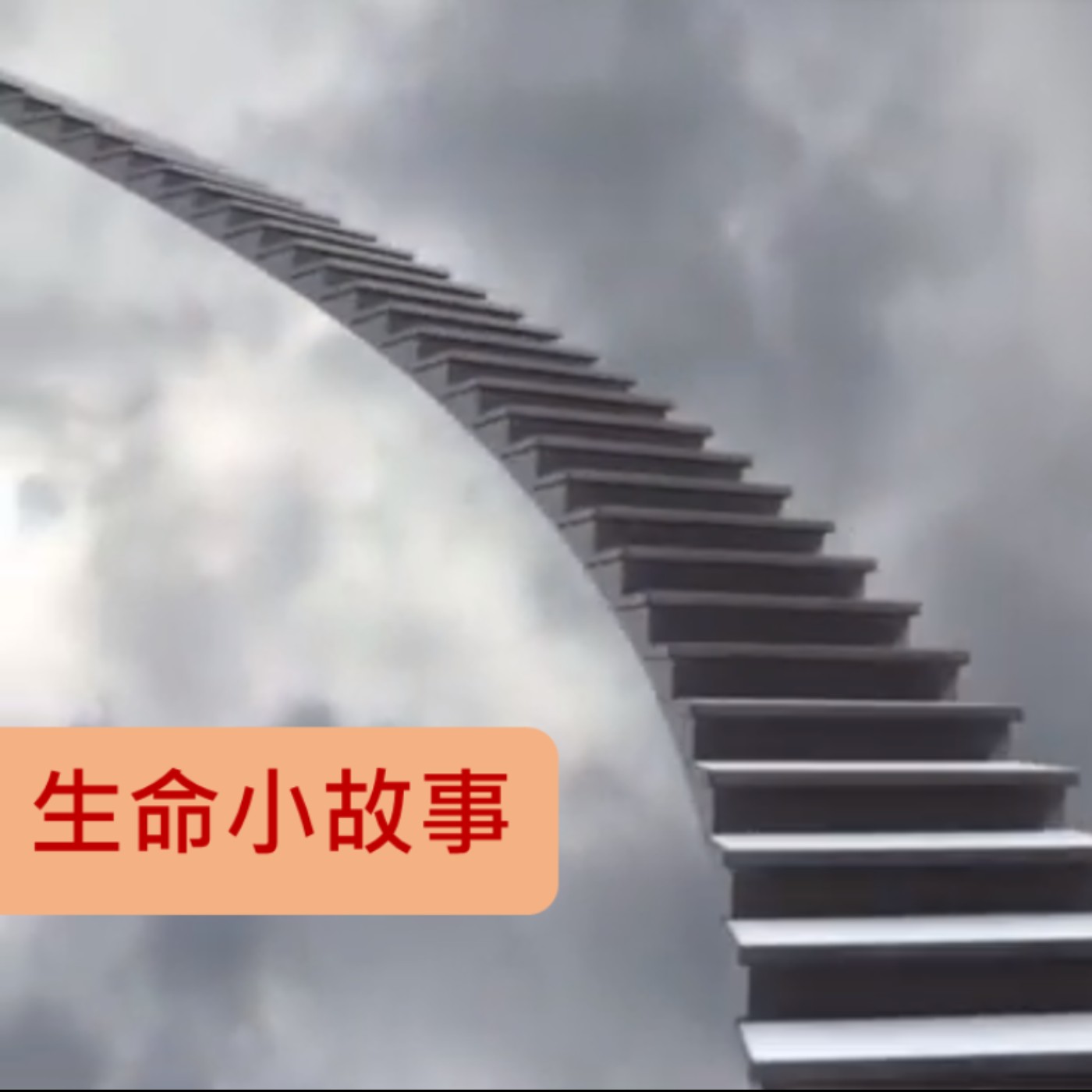 生命小故事