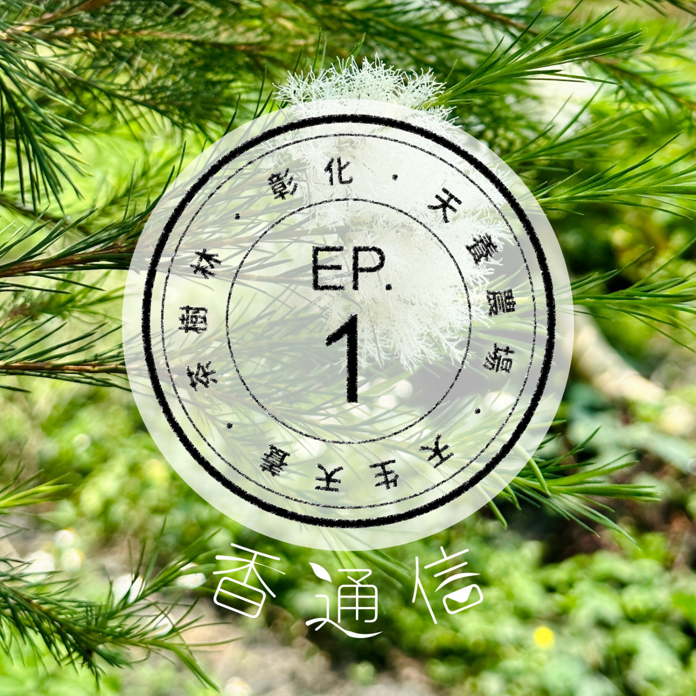 肯園香通信 Reply：Aroma｜【EP01 天生天養的茶樹林—彰化天養農場(上)】 episode artwork