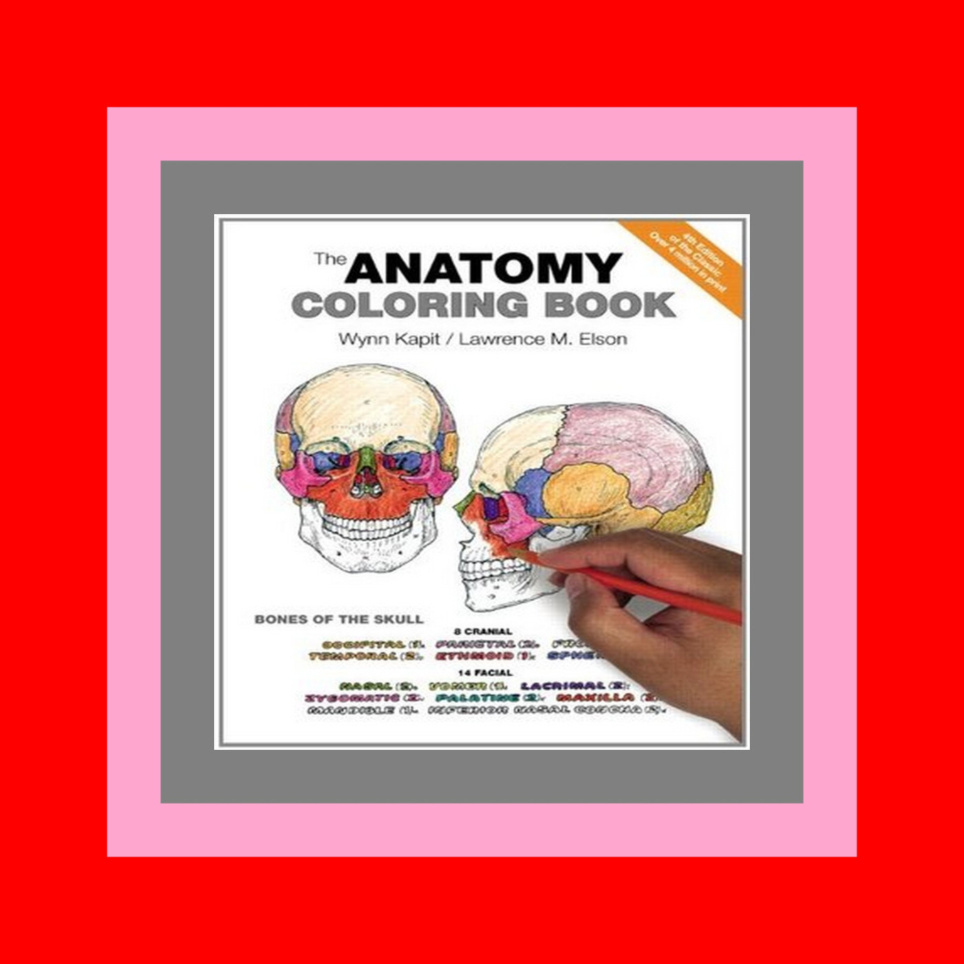 Read The Anatomy Coloring Book Read