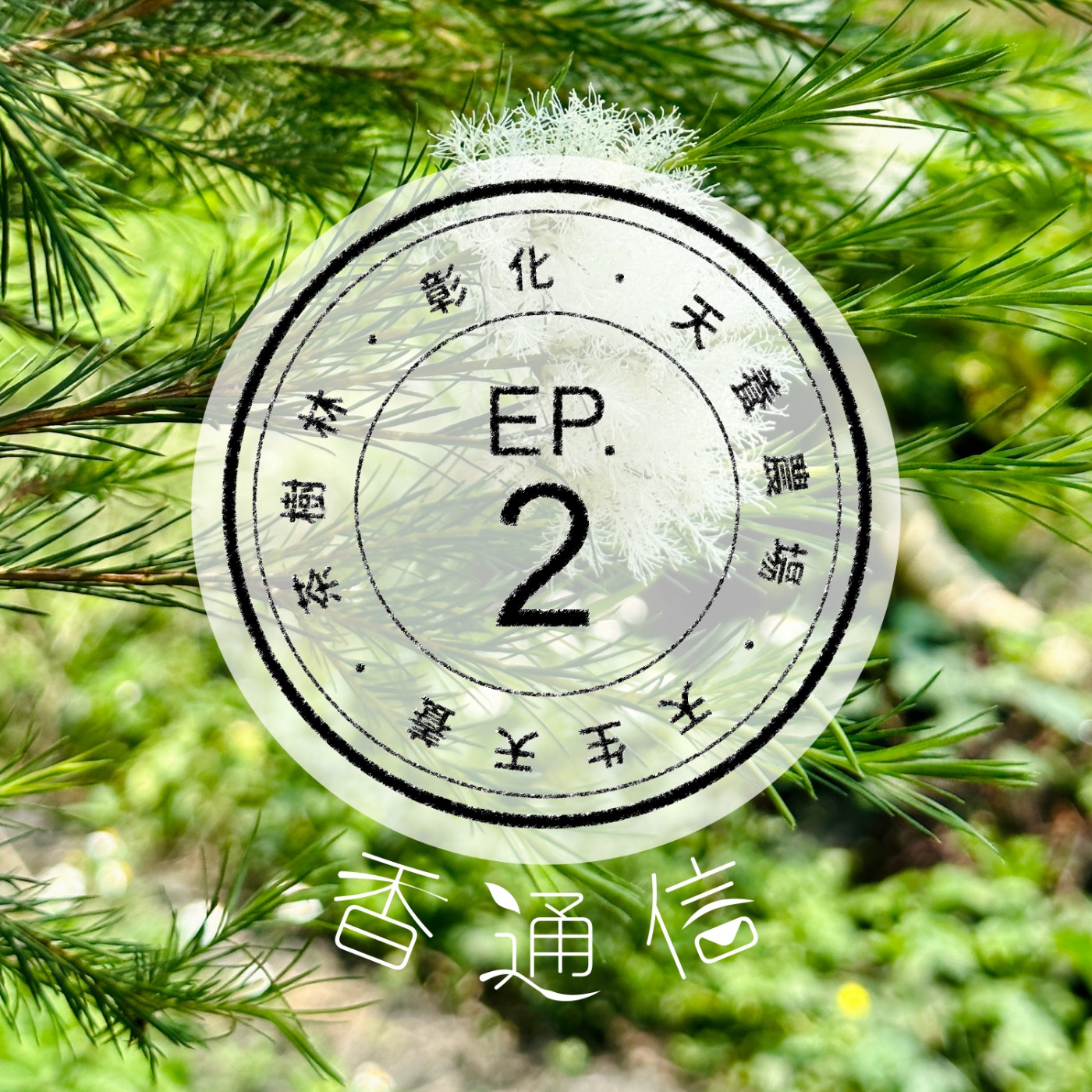 肯園香通信 Reply：Aroma｜【EP02 天生天養的茶樹林—彰化天養農場（下）】 episode artwork