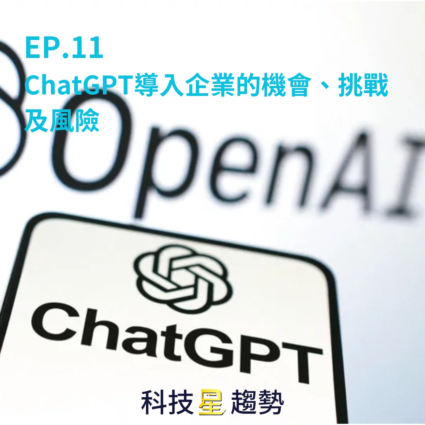 EP.11  ChatGPT導入企業的機會、挑戰及風險