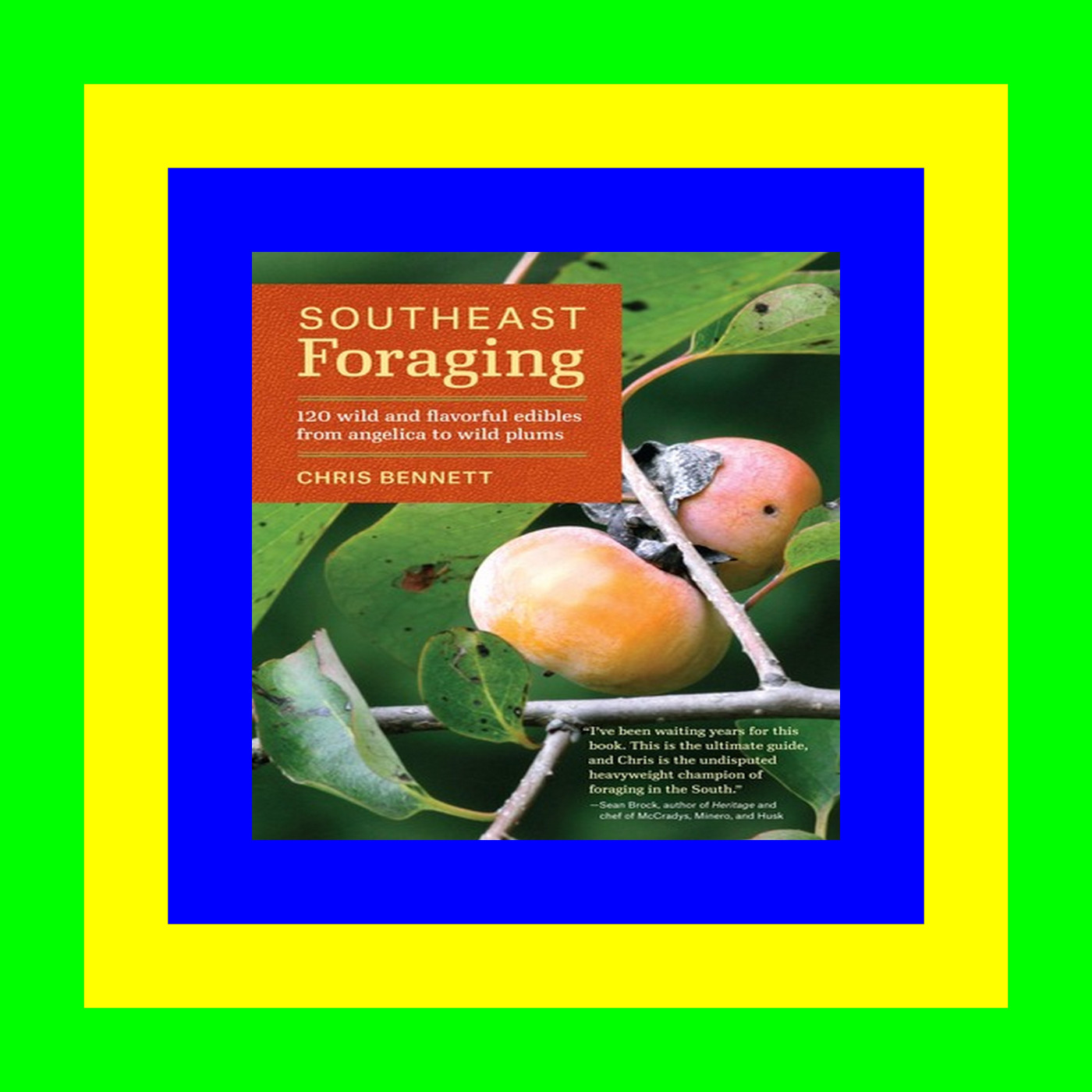 [[FREE] [READ] [DOWNLOAD]] Southeast Foraging: 120 Wild and Flavorful Edibles from Angelica to Wild Plums (Regional Foraging Series) Free [epub]$$