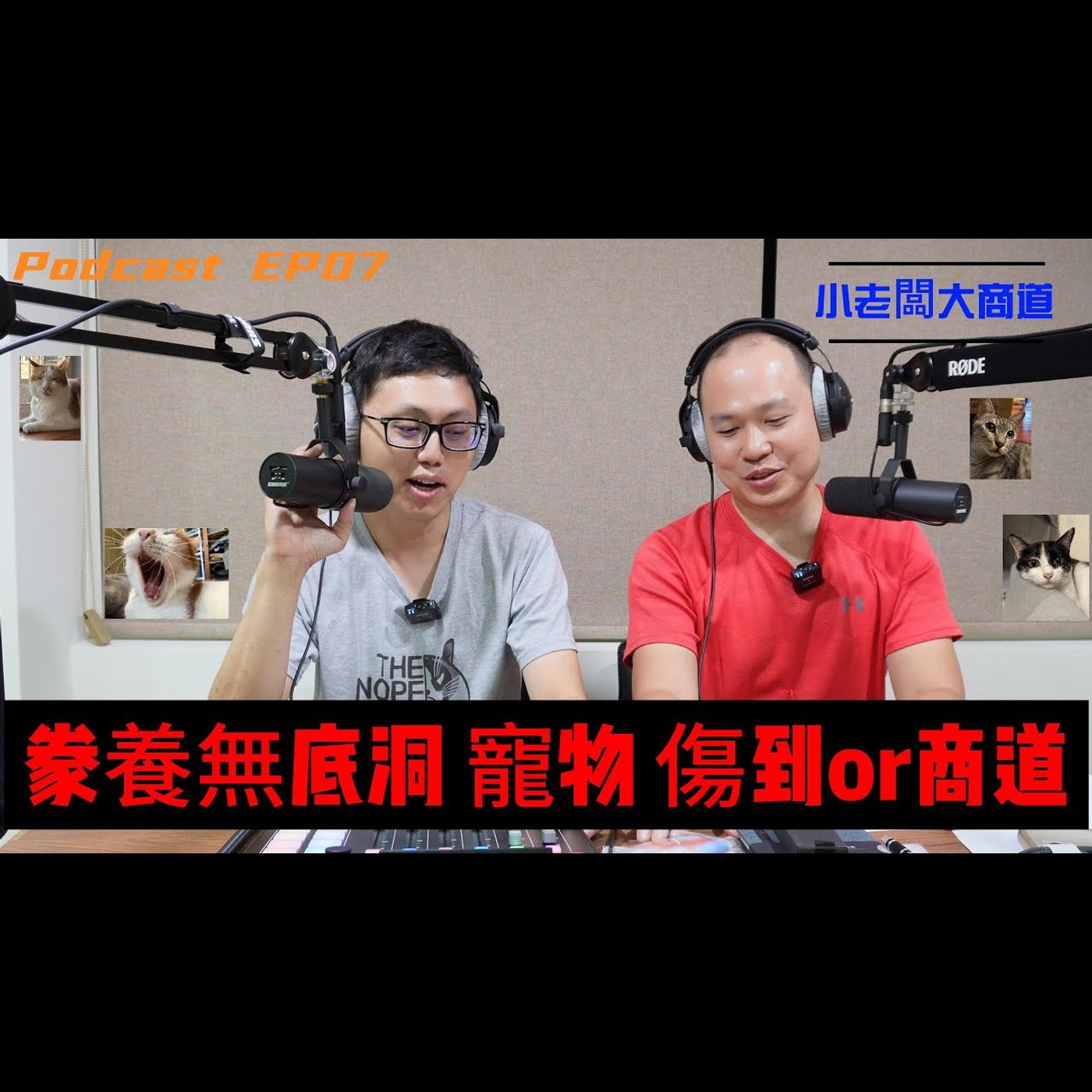👍小老闆 大商道👍 EP07 寵物經濟當道 是商道還是傷到? 寵物家人的你 願意付出多大的代價呢? 精湛電腦 精讚~ episode artwork