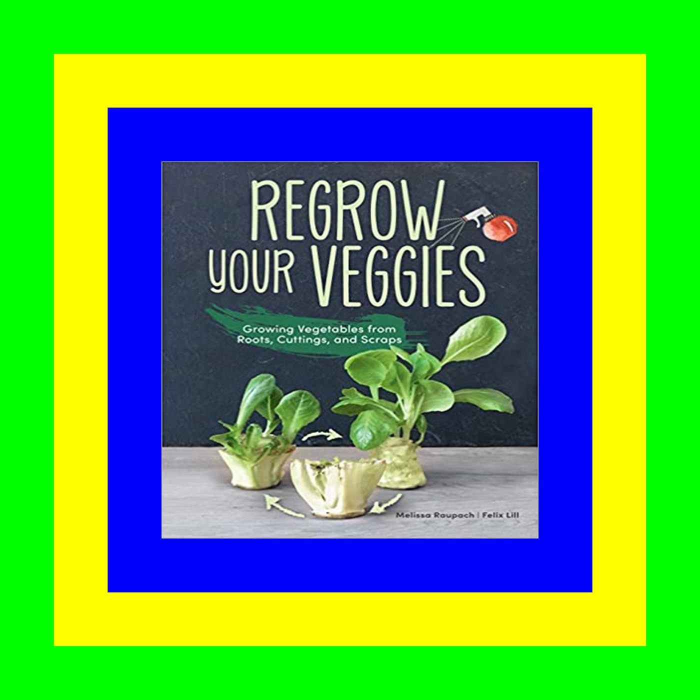 yaereenequibook