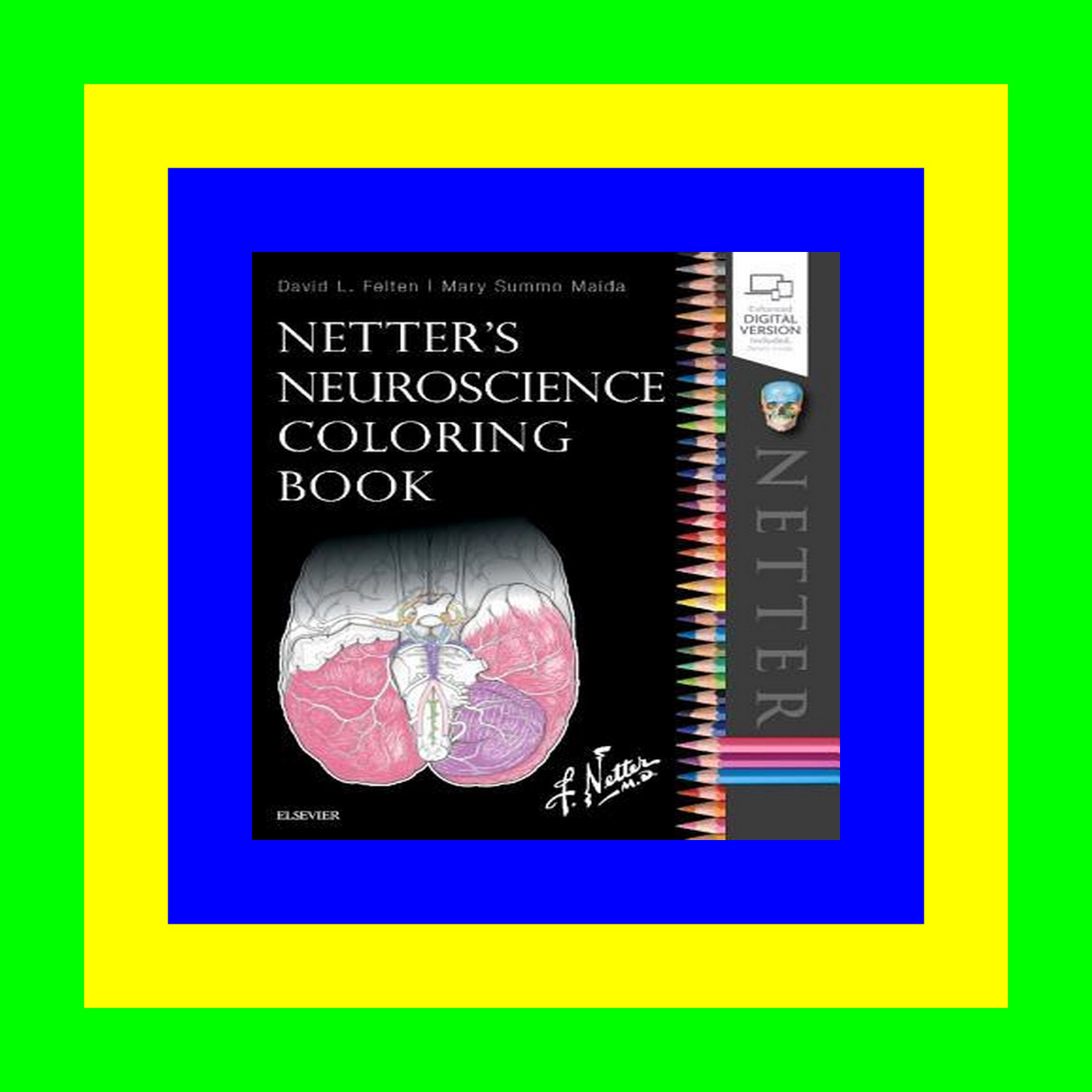 yaereenequibook