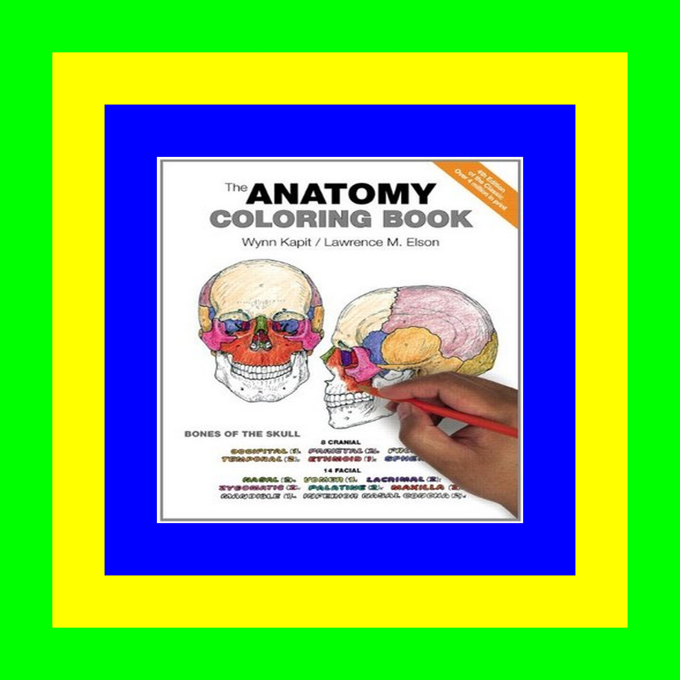 (Epub Kindle) The Anatomy Coloring Book Download PDF EPUB ebook (Epub Kindle) The Anatomy Coloring Book Download PDF EPUB ebook
