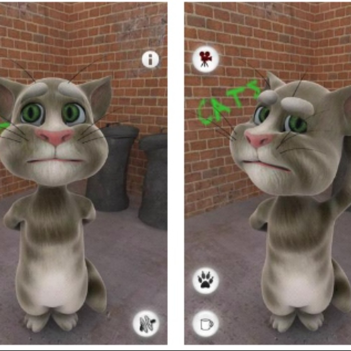 Download Talking Tom Cat