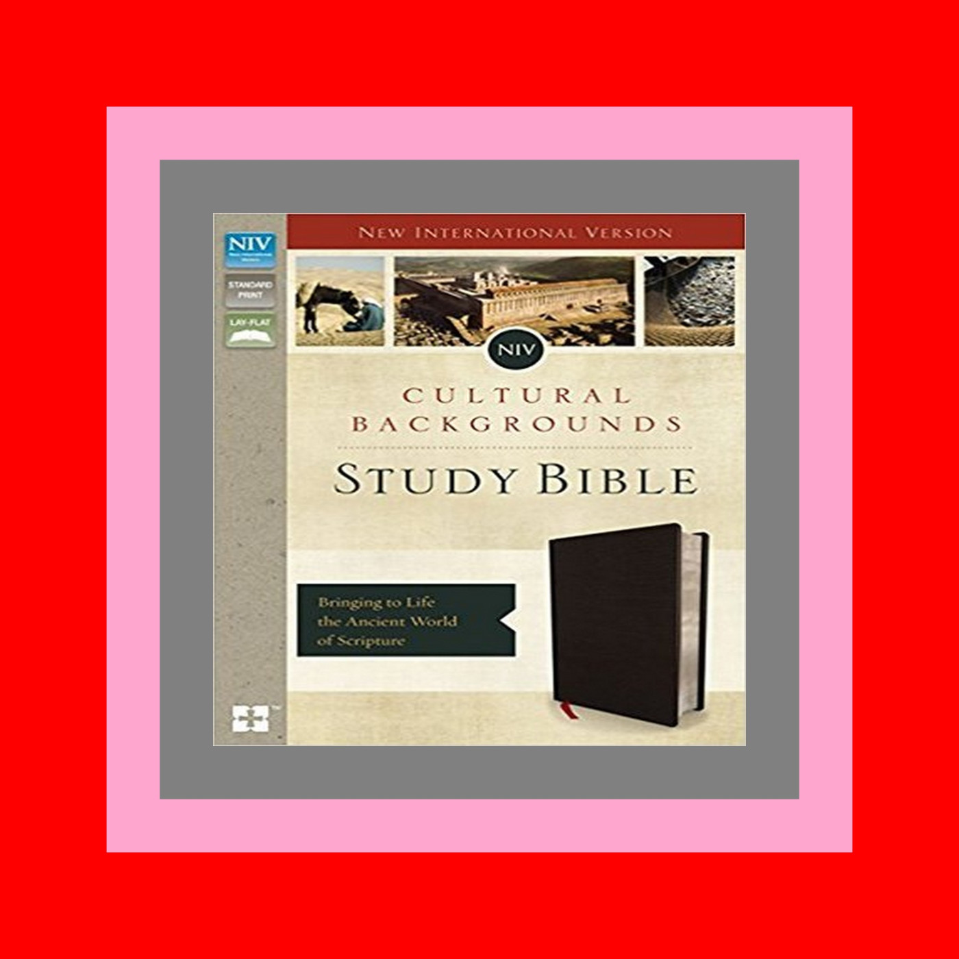 READDOWNLOAD%# NIV  Cultural Backgrounds Study Bible Bringing to Life the Ancient World of Scripture (Bonded Leather  Black  Red Letter Edition) for free online READDOWNLOAD%# NIV  Cultural Backgrounds Study Bible Bringing to Life the Ancient World of Scripture (Bonded Leather  Black  Red Letter Edition) for free online