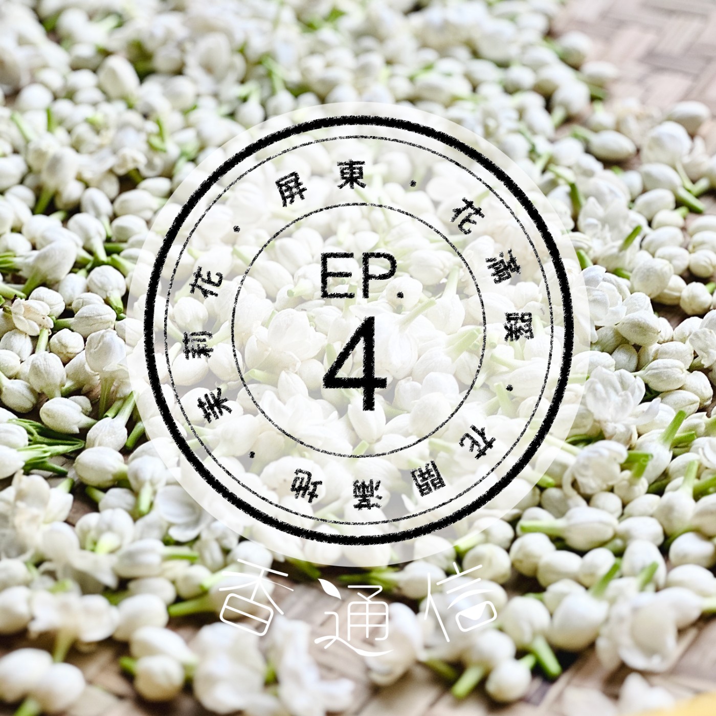 肯園香通信 Reply：Aroma｜【EP04 花開滿地的茉莉花—屏東花滿蹊農場(下)】