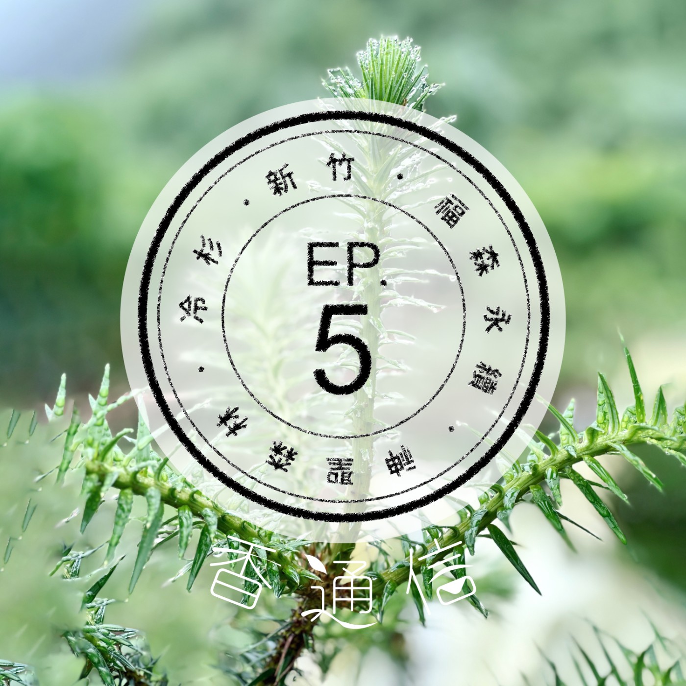 肯園香通信 Reply：Aroma｜【EP05 典藏台灣森林的氣味—福森永續(上)】 episode artwork