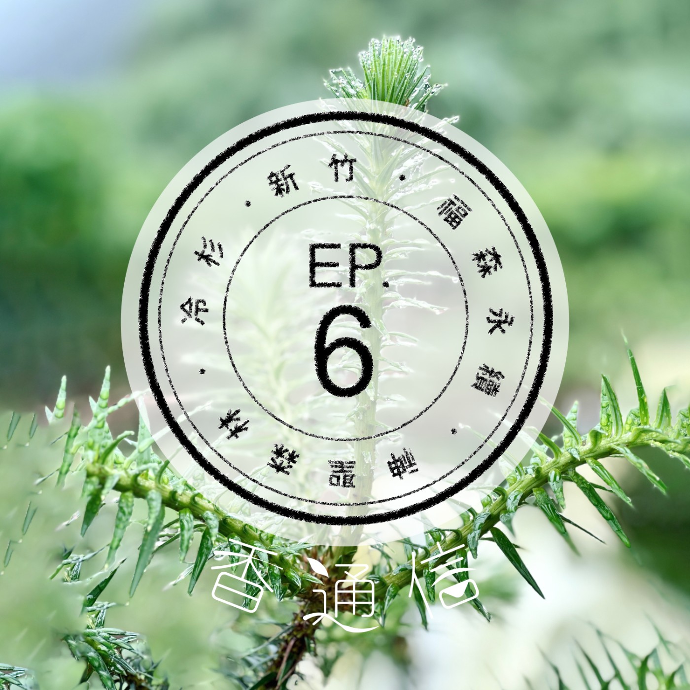 肯園香通信 Reply：Aroma｜【EP06 典藏台灣森林的氣味—福森永續、永泰林業(下)】 episode artwork