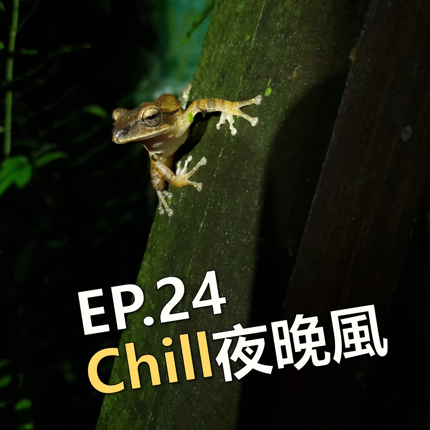 EP24_皎潔_chill夜晚風