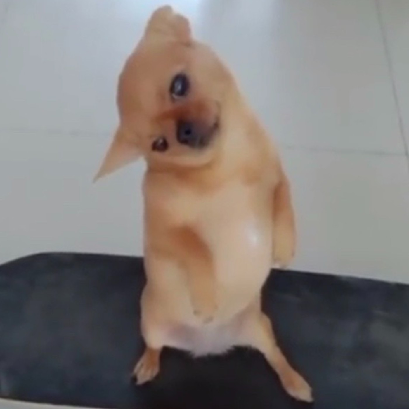 萬聖節SP 今年萬聖節要幹嘛