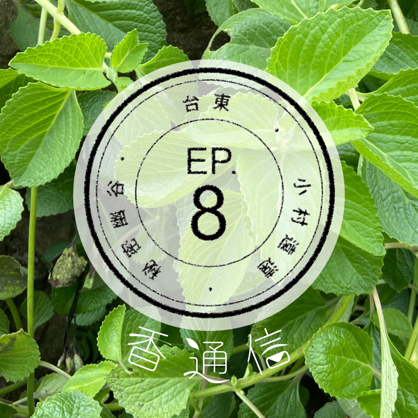 肯園香通信 Reply：Aroma｜【EP08 秘密幽谷的芬芳—台東小村遠遠(下)】 episode artwork