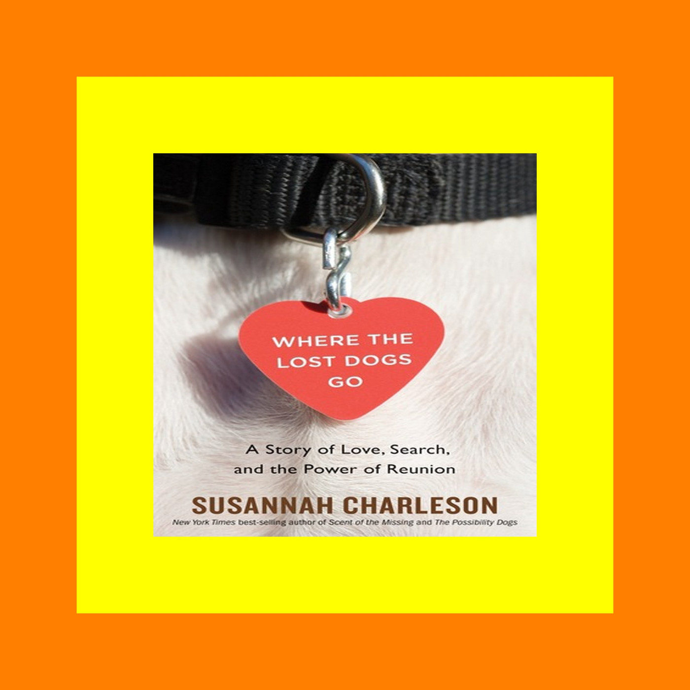 eBook PDF Where The Lost Dogs Go A Story of Love  Search  and the Power of Reunion [pdf books free]