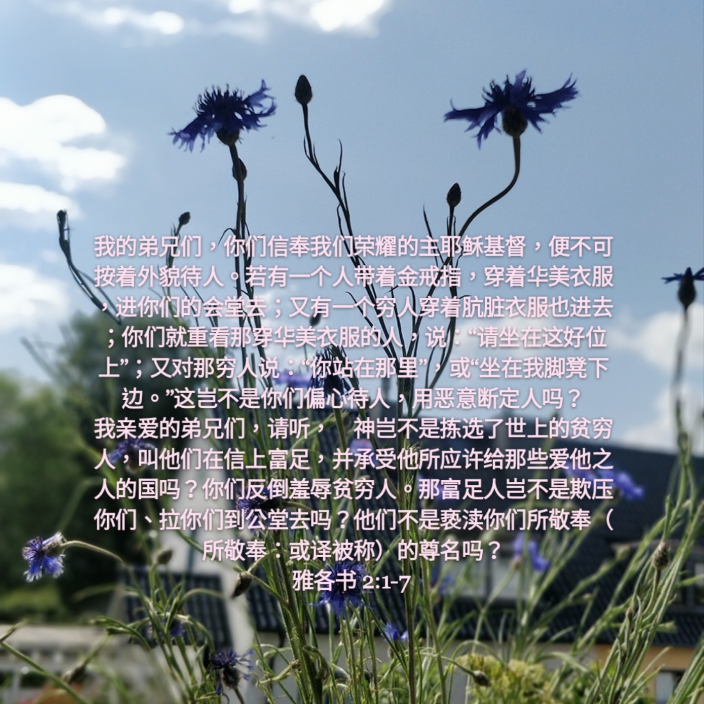 雅各书2:1-7 (20年7月29日读经分享) episode artwork