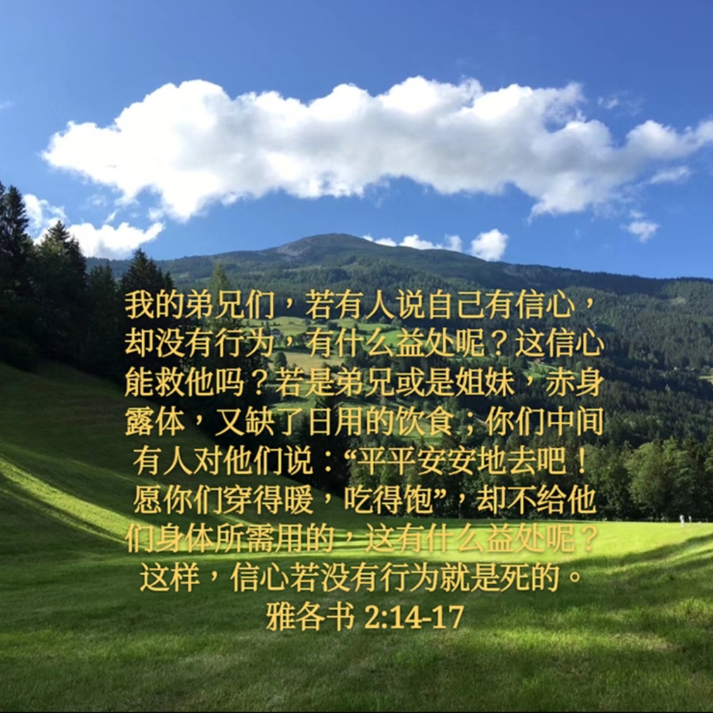 雅各书2:14-17 (20年7月31日读经分享) episode artwork