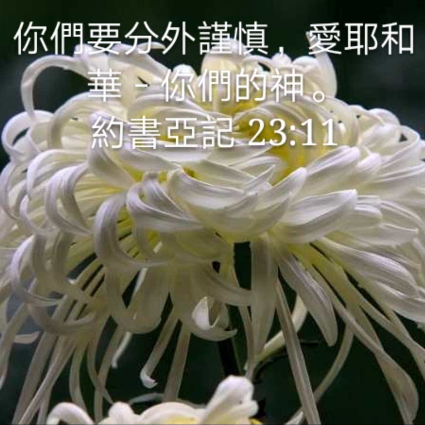 20年9月14日读经 | 约书亚记23章