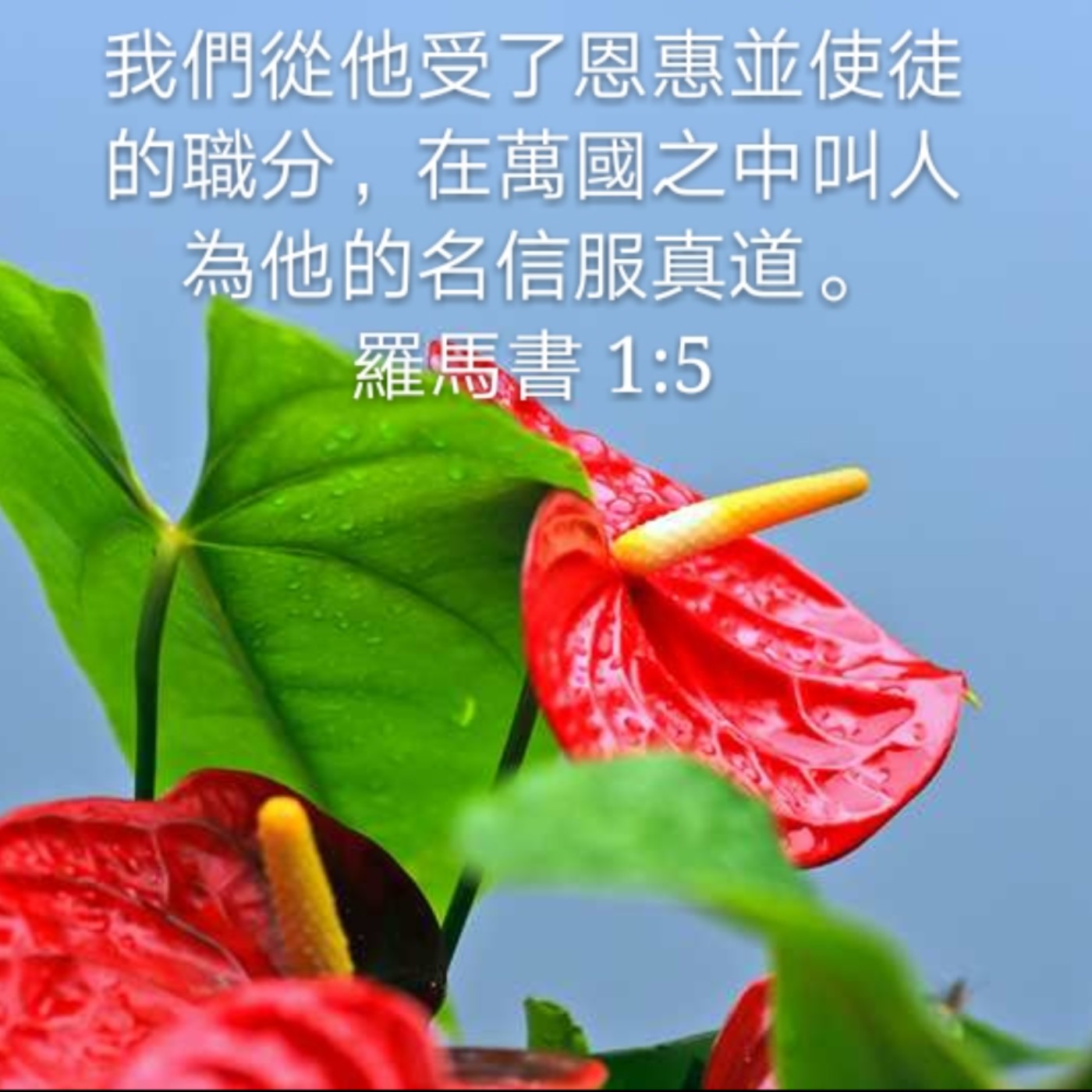 201012 领受神的话 | 罗马书1:5-7 episode artwork