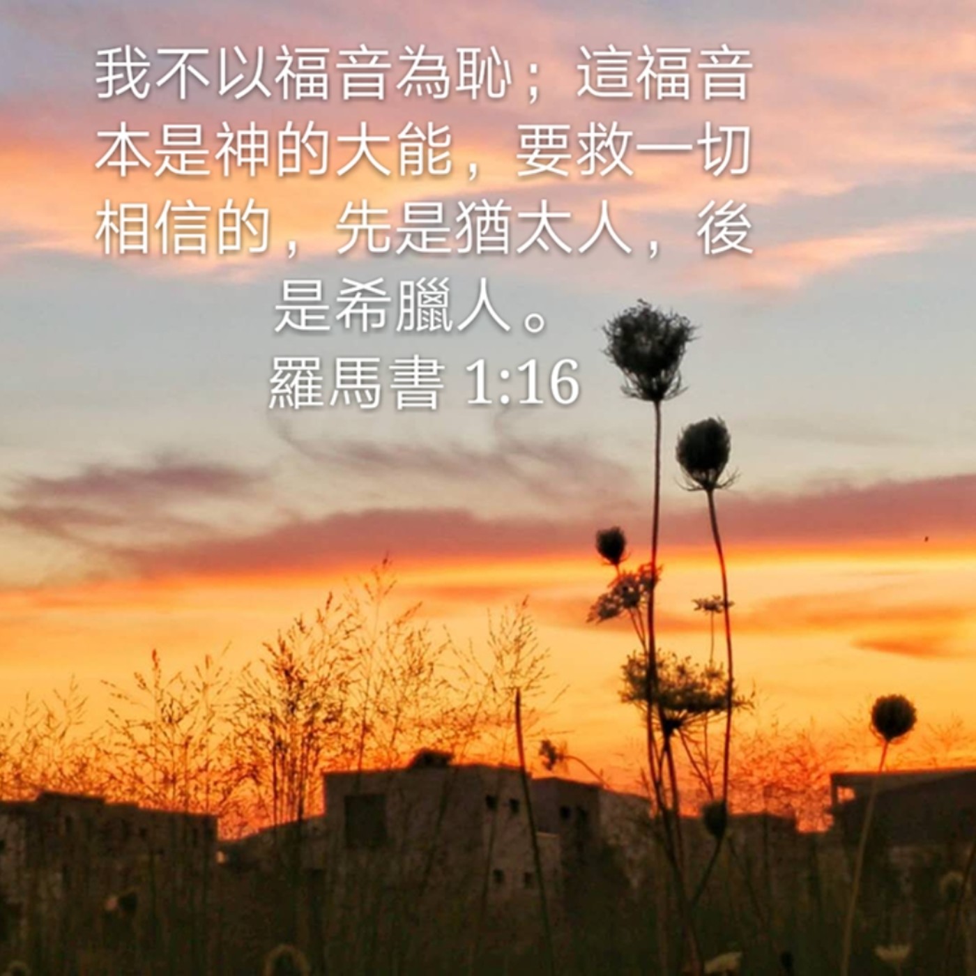 201019 领受神的话 | 罗马书1:16-17 episode artwork