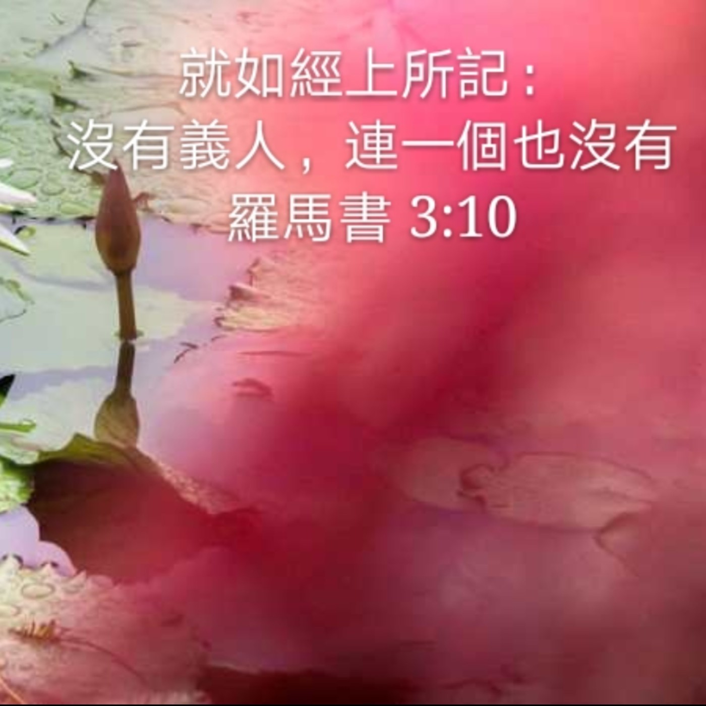 201028 领受神的话 | 罗马书3:9-12 episode artwork