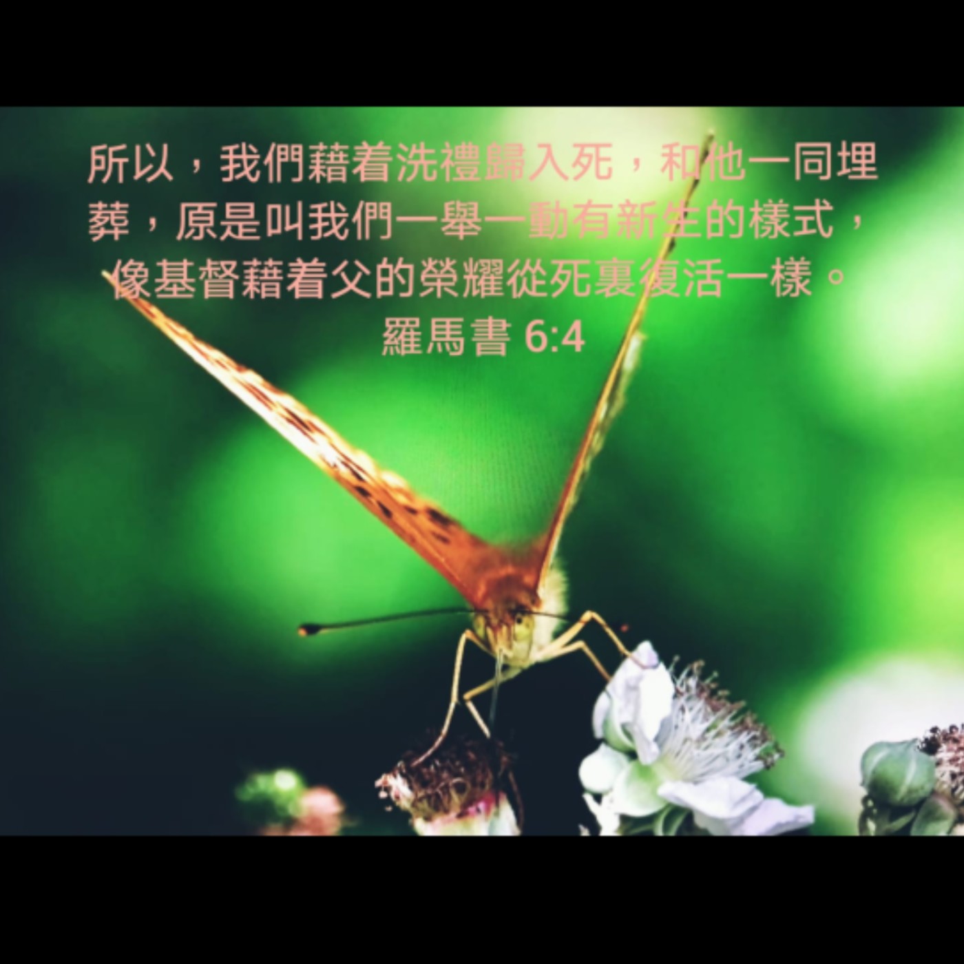 201116 | 你可以活出义的生命 [罗马书6:1-13] episode artwork