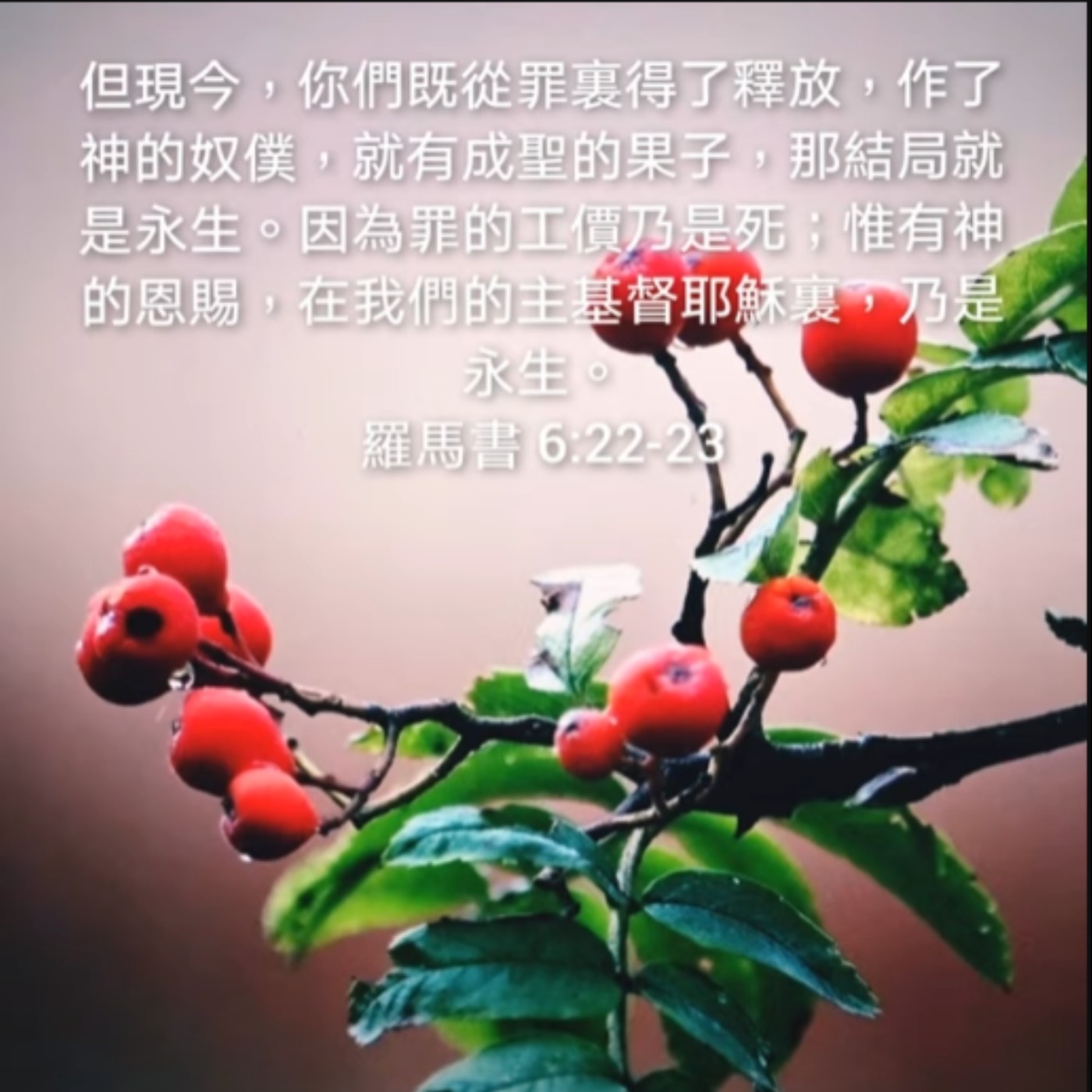 201123 | 你要活在事实里，还是活在谎言中 [罗马书6:15-23] episode artwork