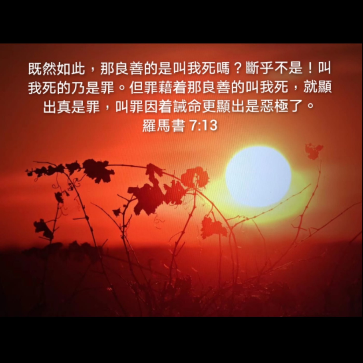 201214 | 借刀杀人的罪 [罗马书7:10-17] episode artwork