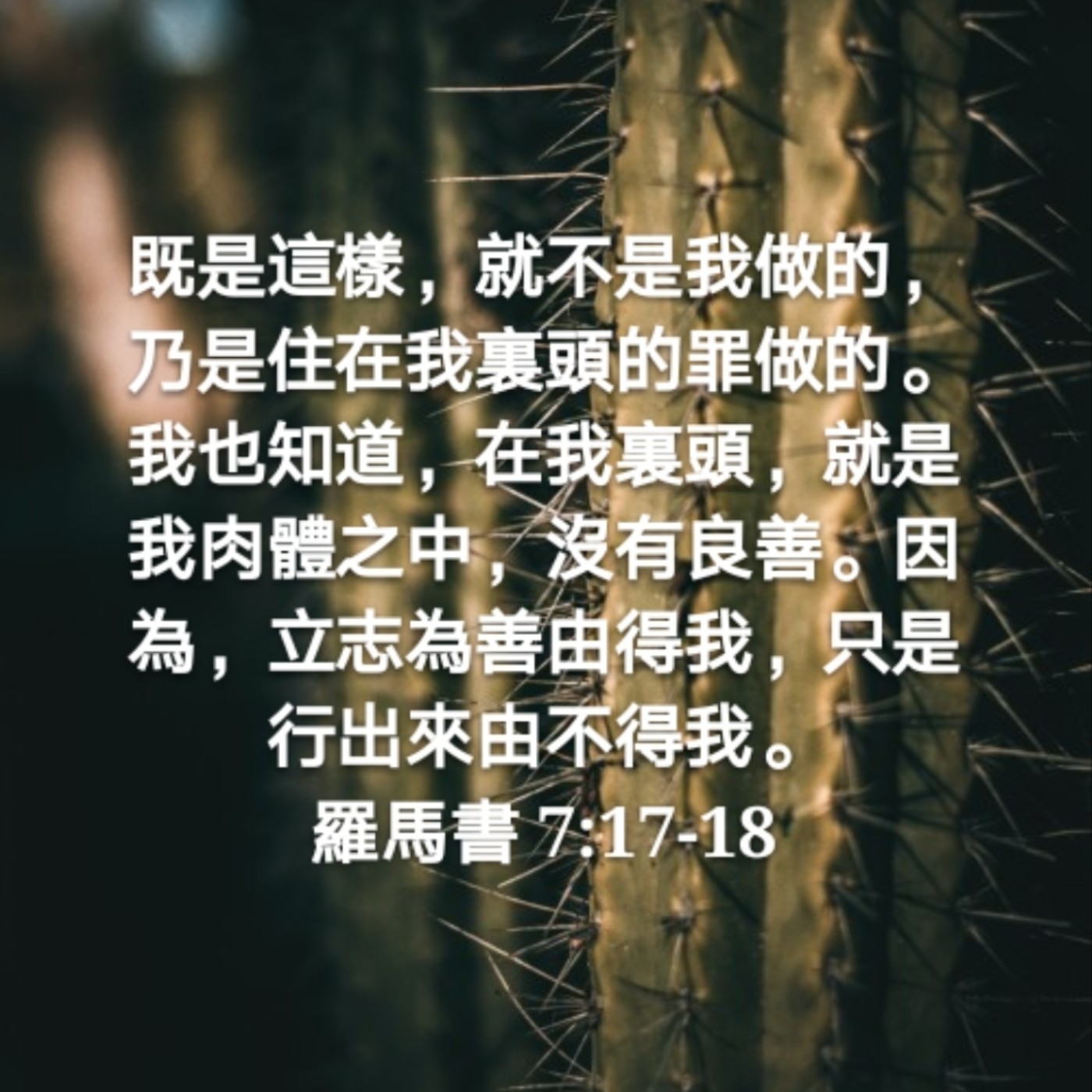 201221 | 就不是我做的---的罪 [罗马书7:17-20] episode artwork