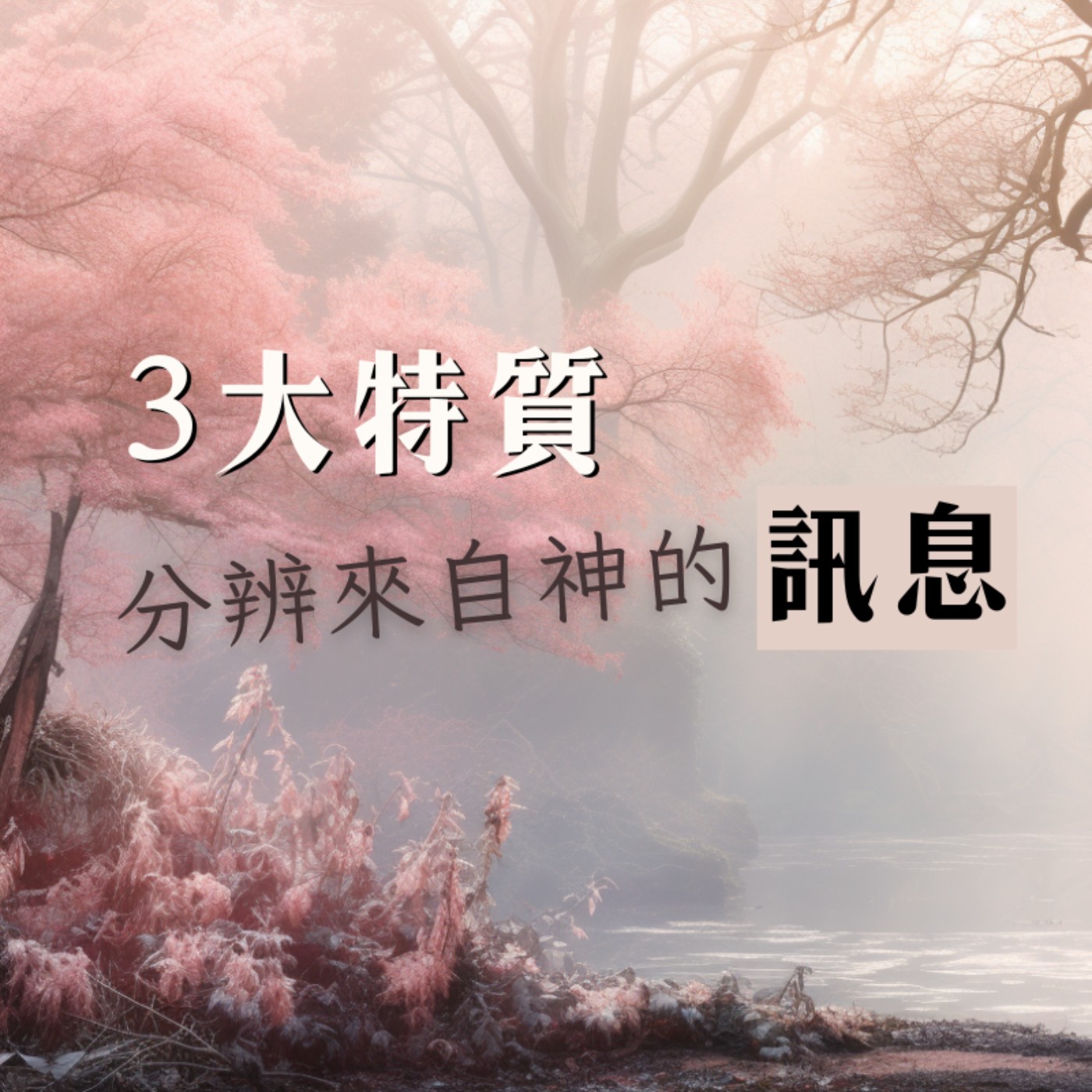 【與神對話02】搞懂這三大特質，就能分辨來自神 (高我) 的訊息