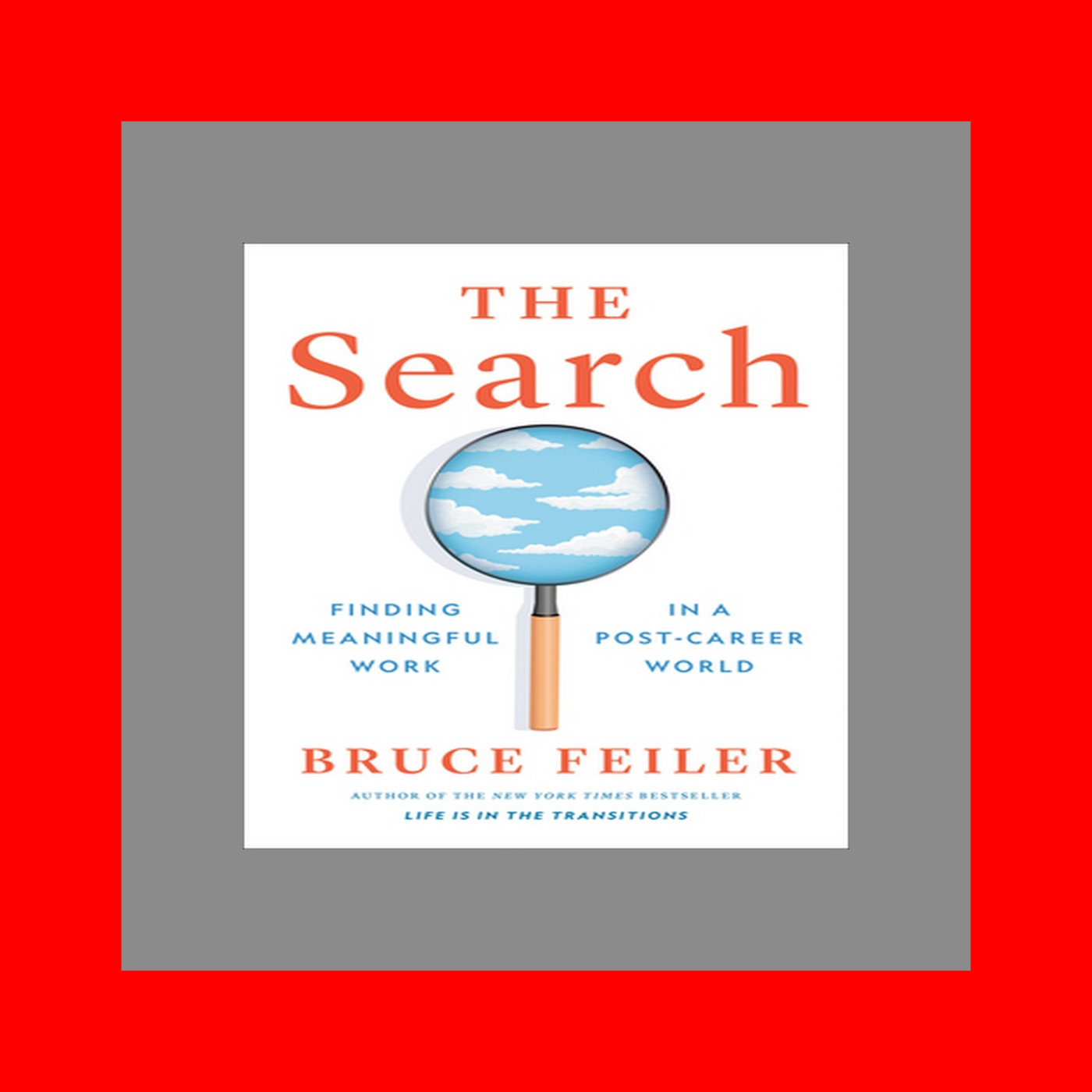 [Epub]$$ The Search Finding Meaningful Work in a Post-Career World Free Book BY Bruce Feiler