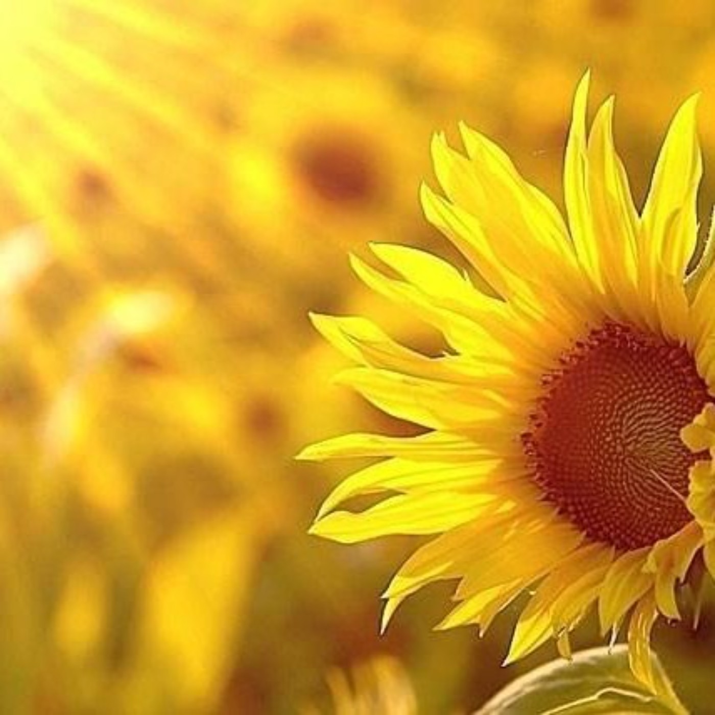 靈修日記: 今日經文 (但以理書 第十二章)