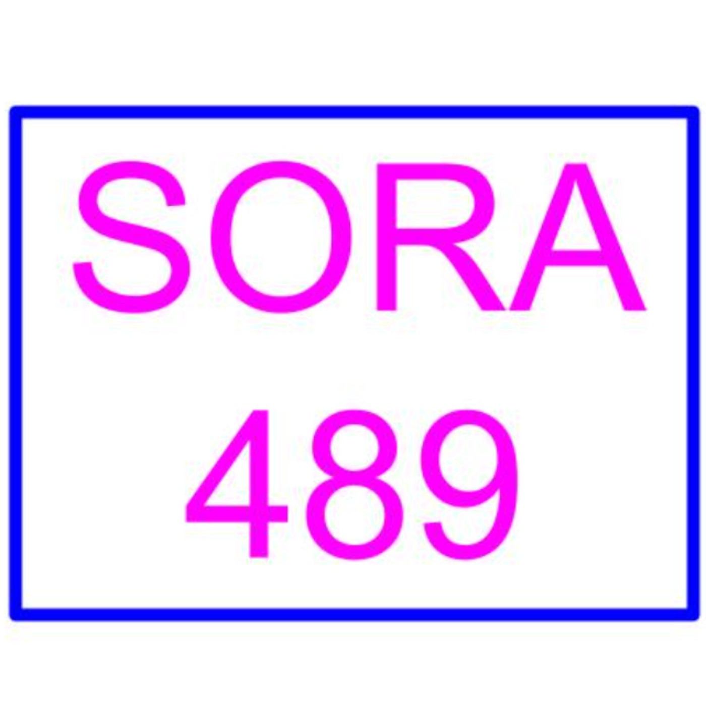 𓀬Road No.10 SORA-489 メロディー・雛・マークス〖3年前に出会った交換留学生が僕の家へホームステイに来ることになった。エロい美女になった北欧天使に誘惑され童貞筆おろし汗だく絶倫SEXに明け暮れた夏休み〗 episode artwork
