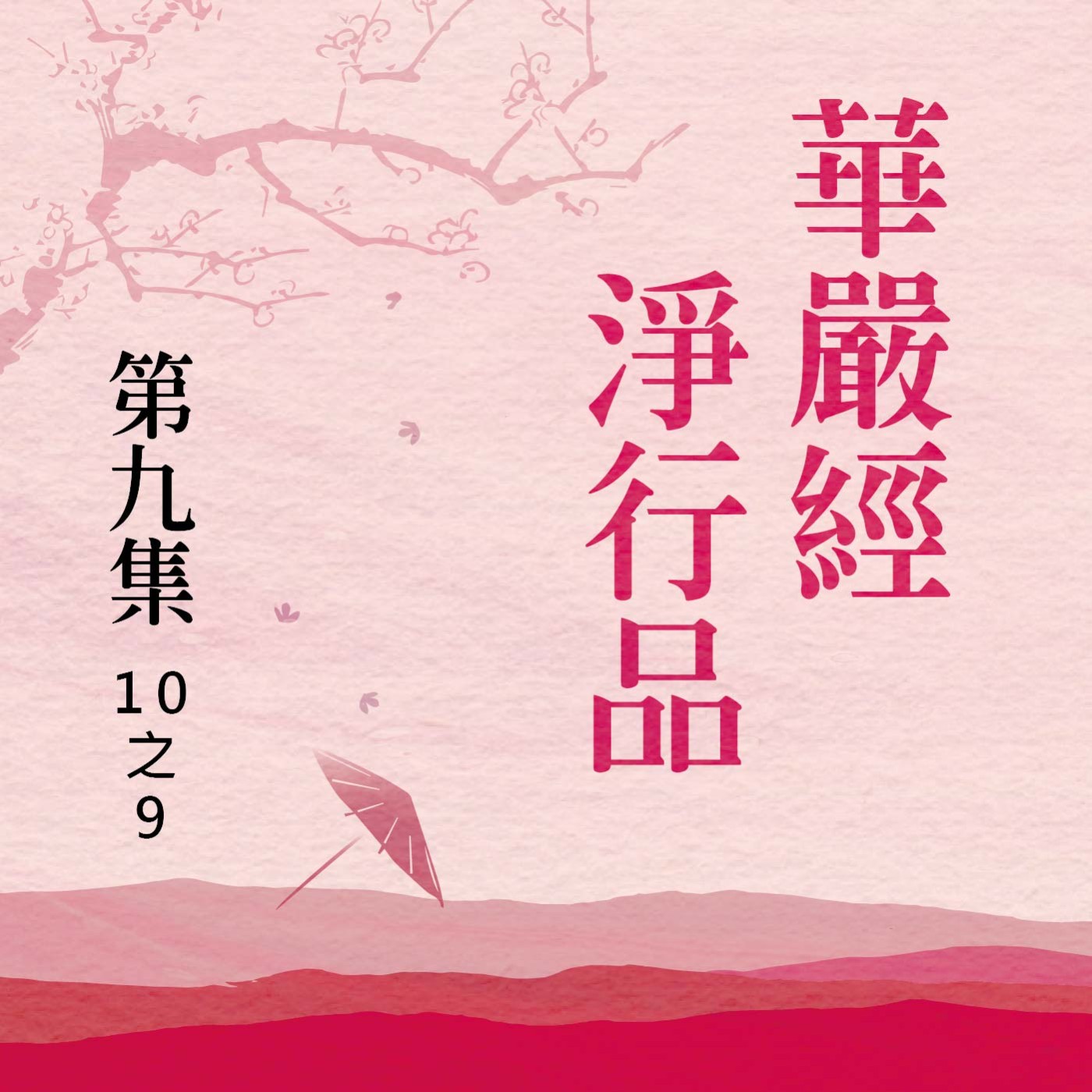《華嚴經淨行品》第九集 (10之9)