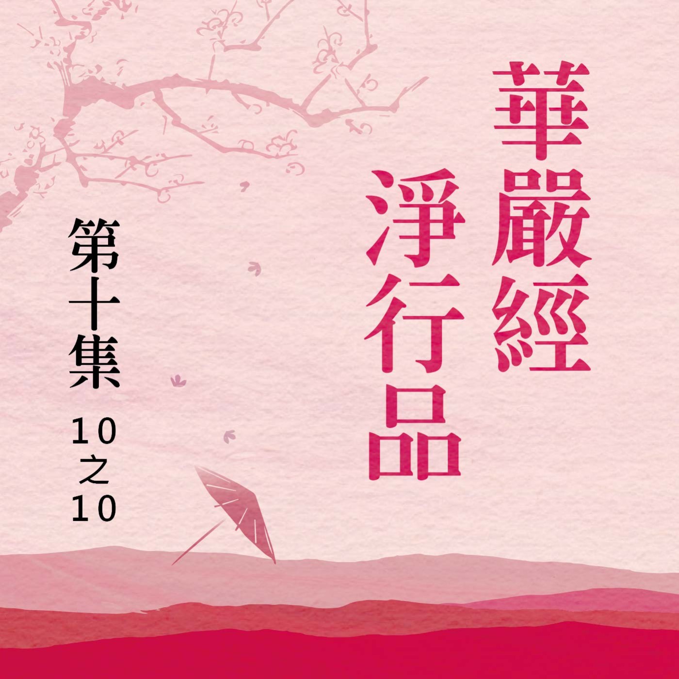 《華嚴經淨行品》第十集 (10之10) episode artwork