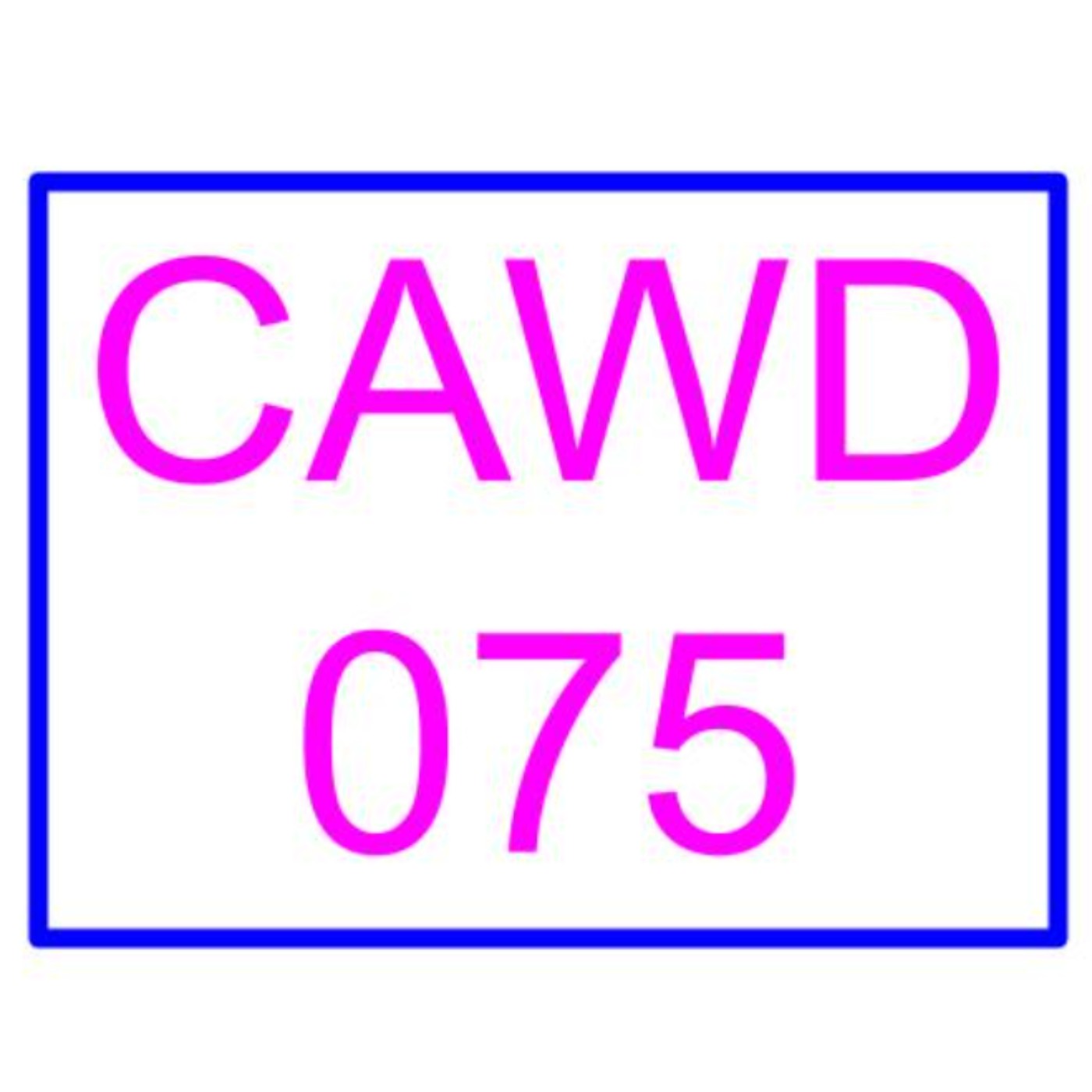 𓀬Road No.12 CAWD-075 根尾あかり〖近所に引っ越してきた無防備・無抵抗巨乳美少女すみれちゃんにヤリたい放題な夏〗