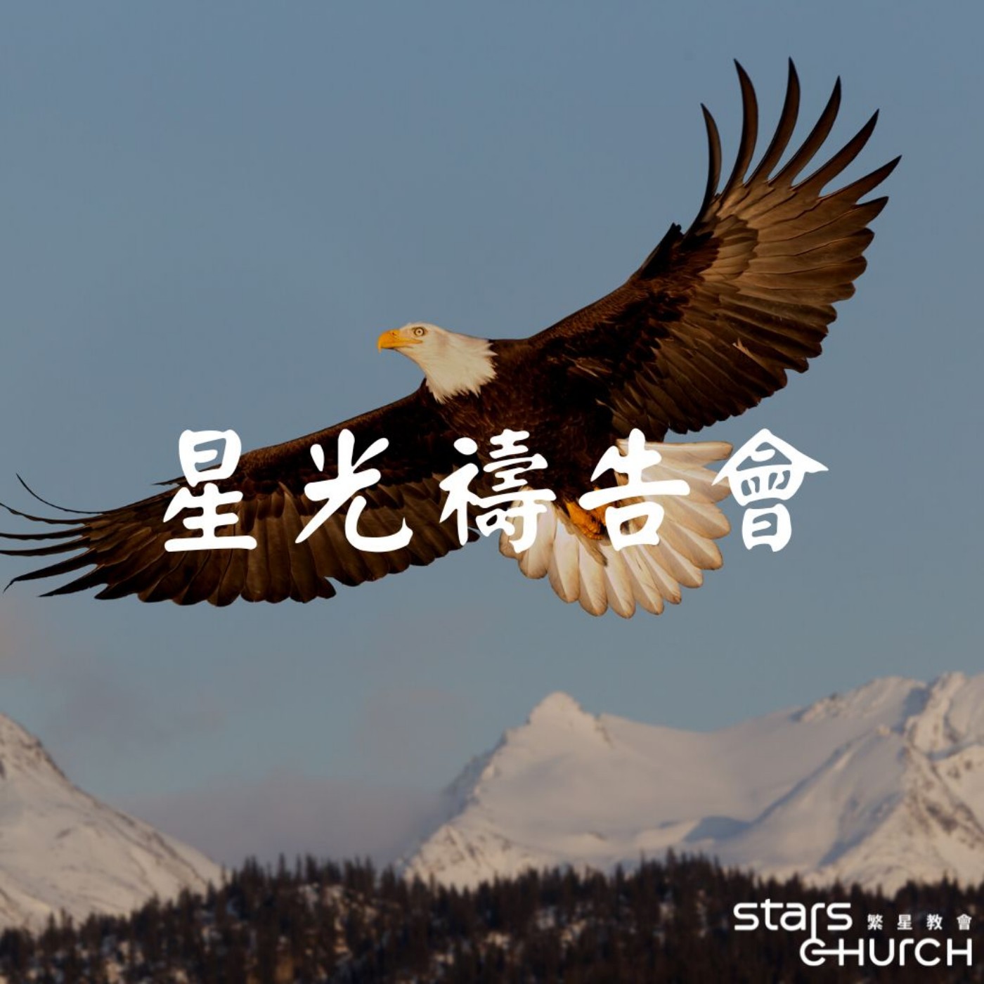 感恩的連鎖效應-釋放感恩如鷹展翅 episode artwork