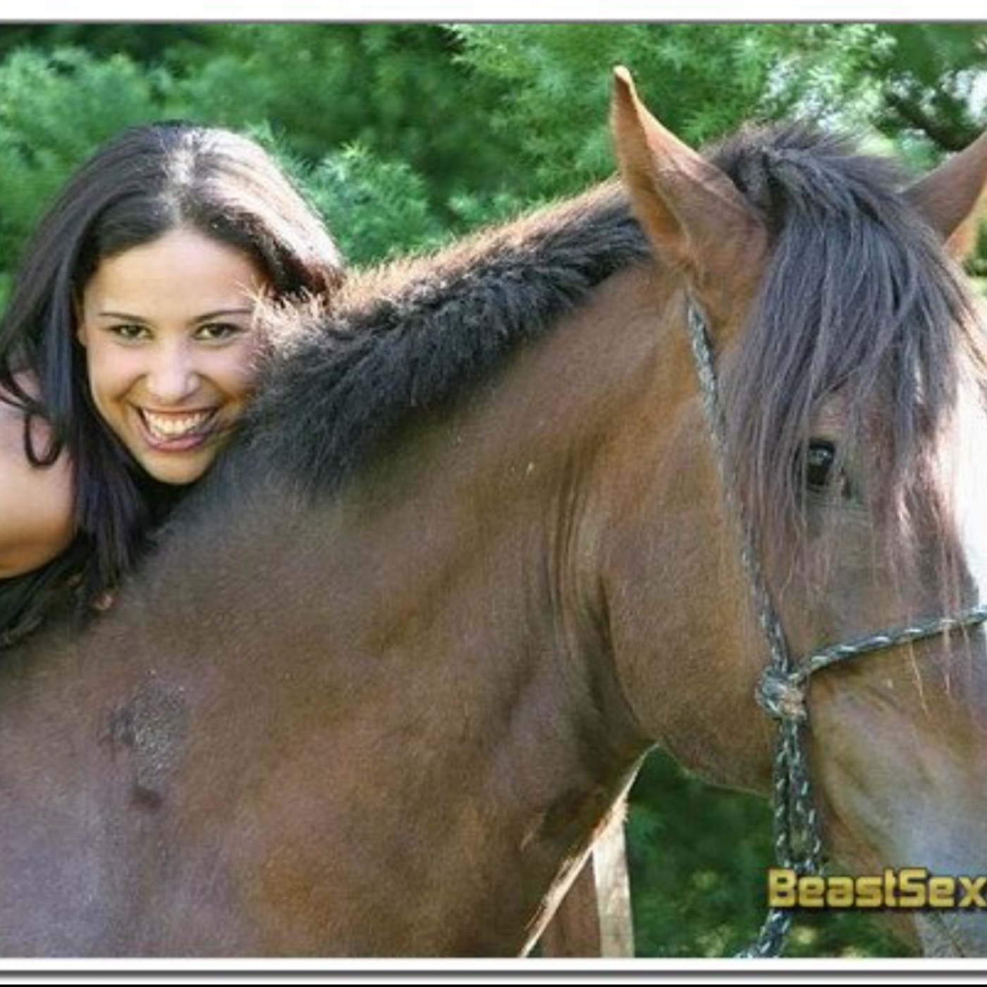 Monica mattos horse