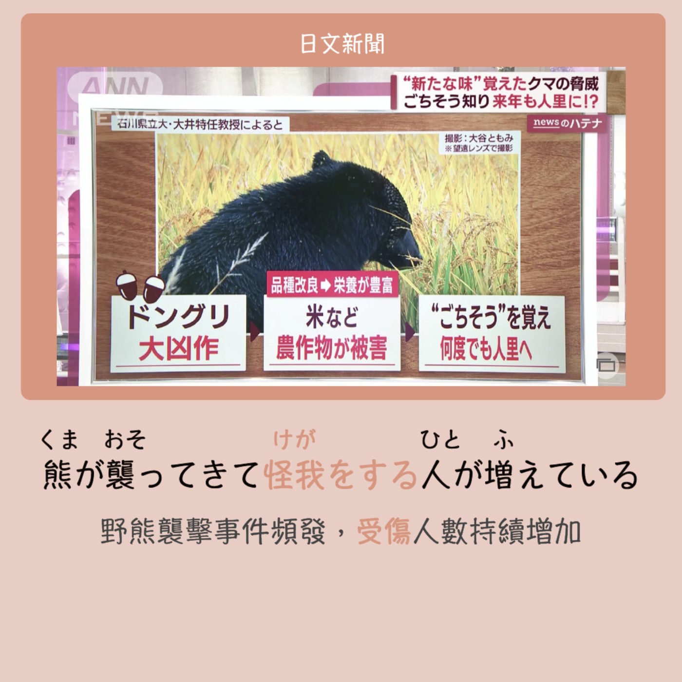 【新聞】クマの被害 episode artwork